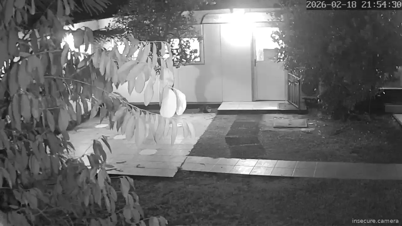 Capture from Feb 19, 2026 at 12:54 AM