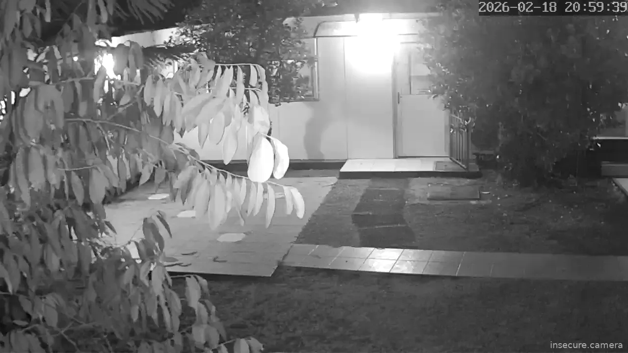 Capture from Feb 19, 2026 at 12:00 AM