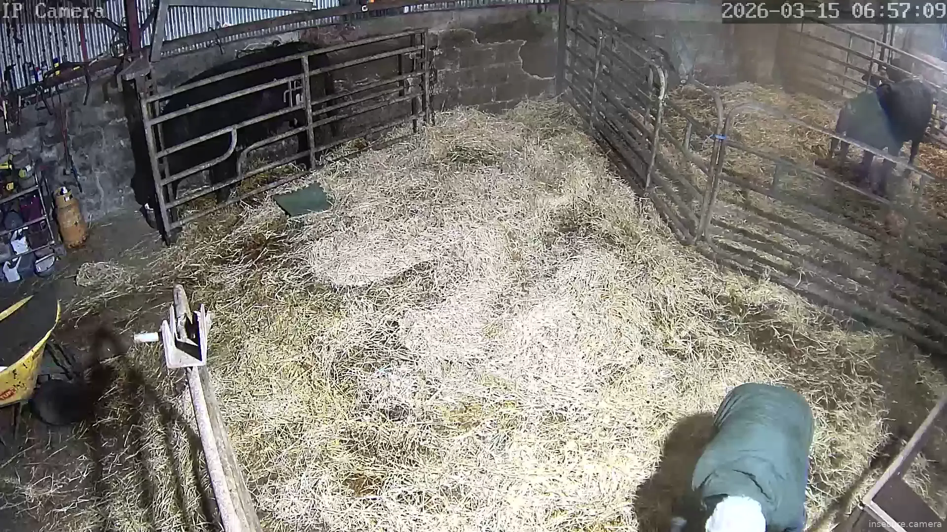 Capture from Mar 14, 2026 at 10:57 PM