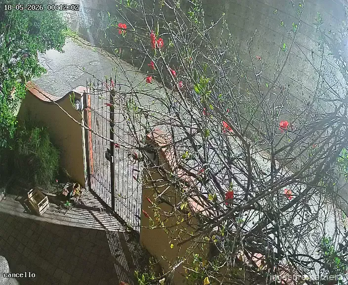 Camera in Italy