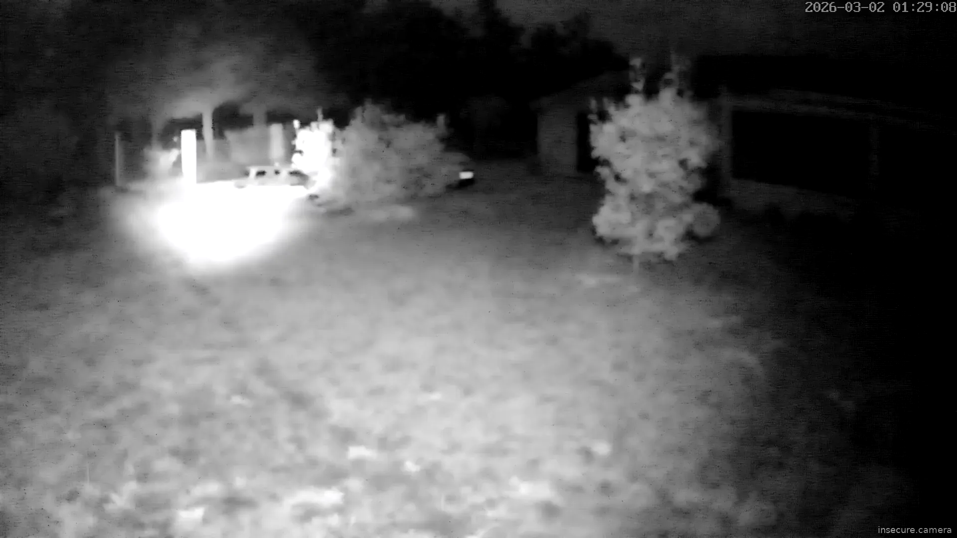 Capture from Mar 02, 2026 at 12:29 AM