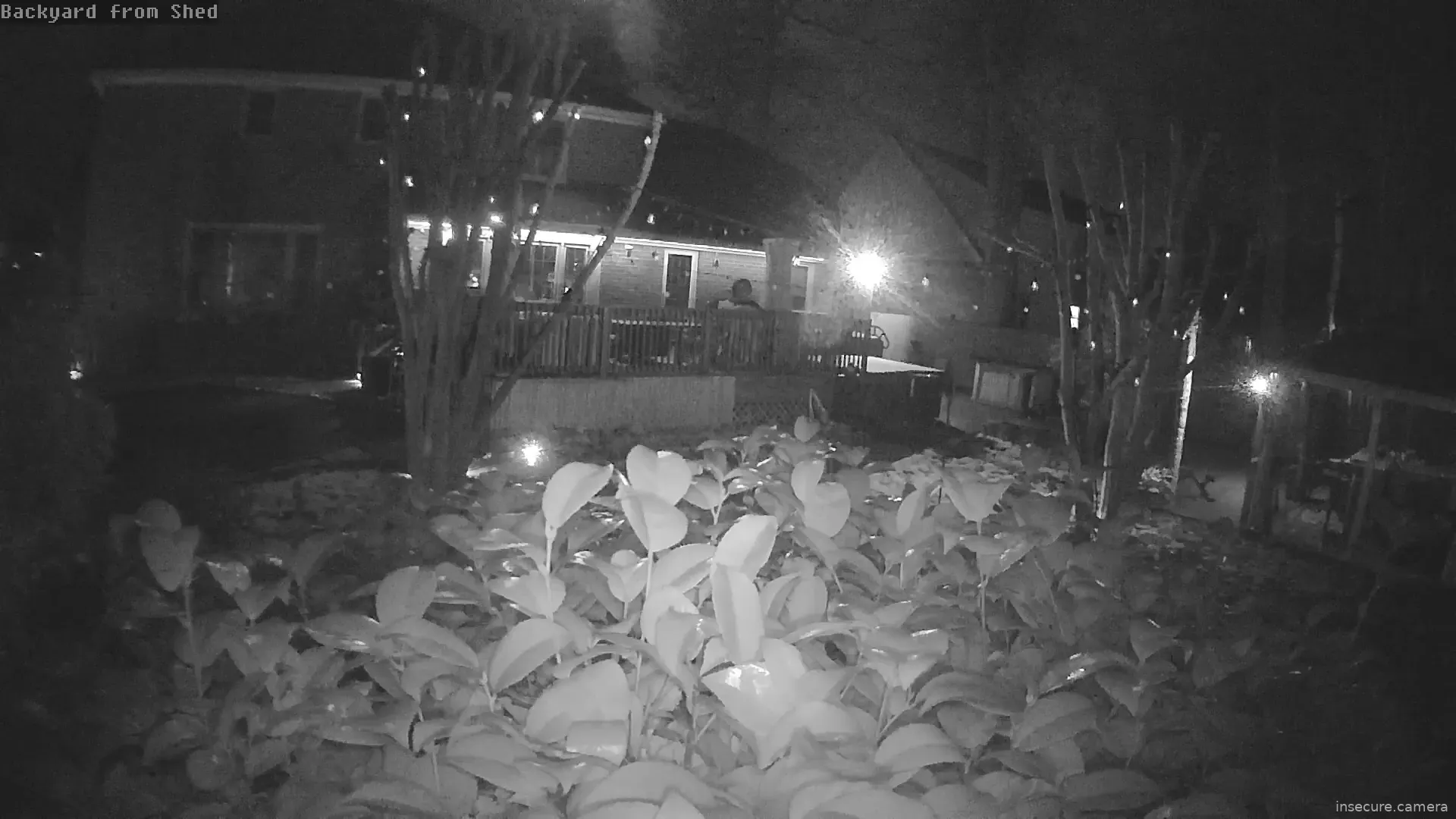 Capture from Mar 06, 2026 at 04:26 AM