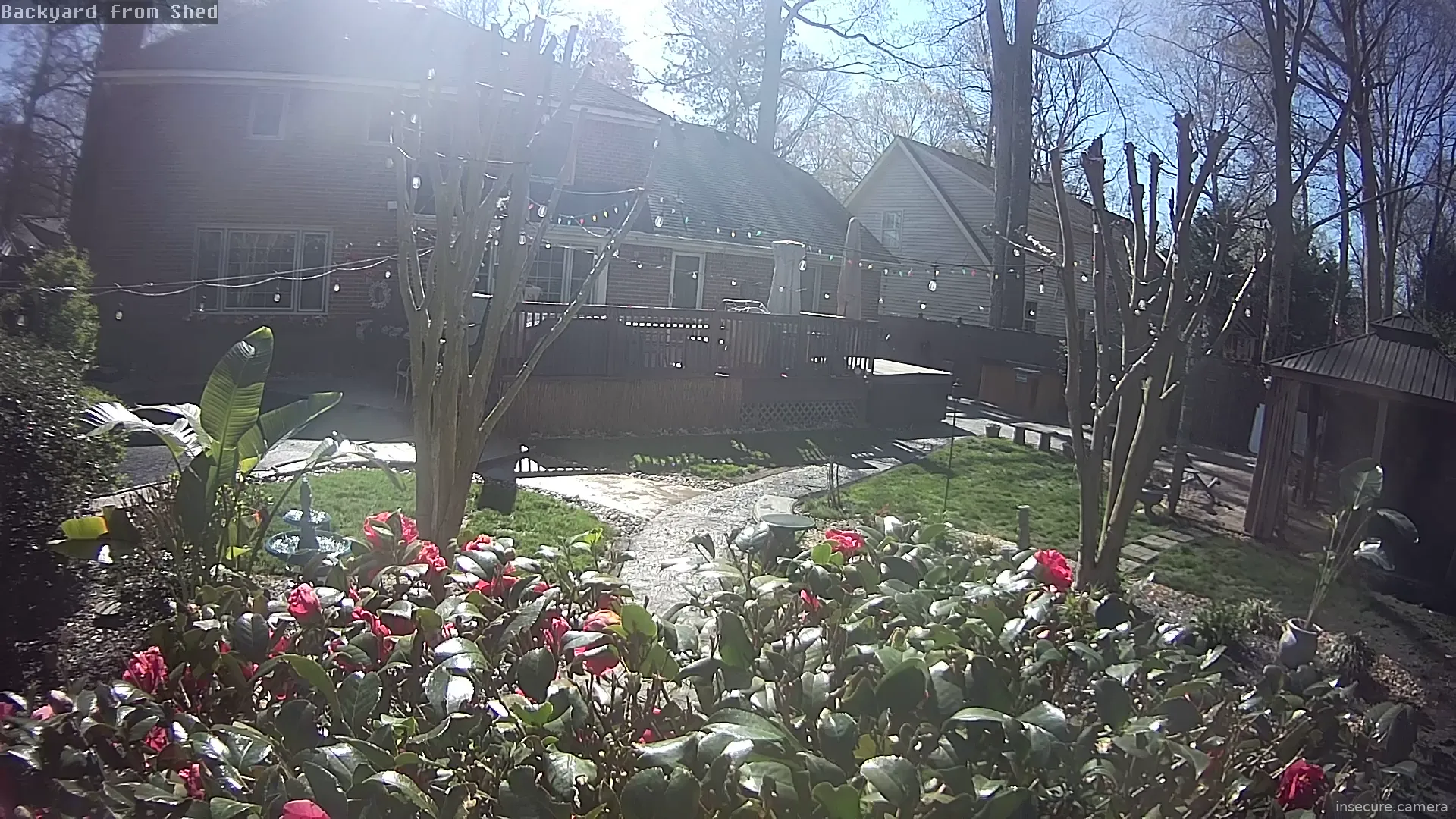 Camera in United States