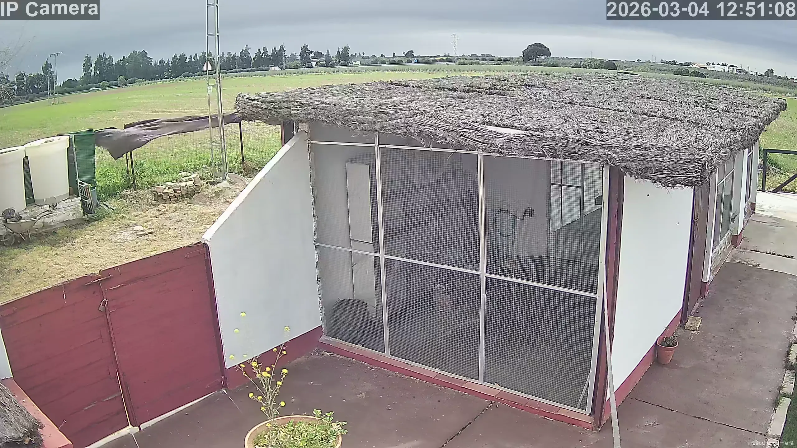 Capture from Mar 04, 2026 at 11:51 AM