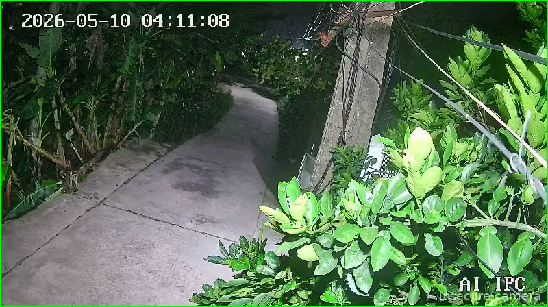 Camera in Vietnam