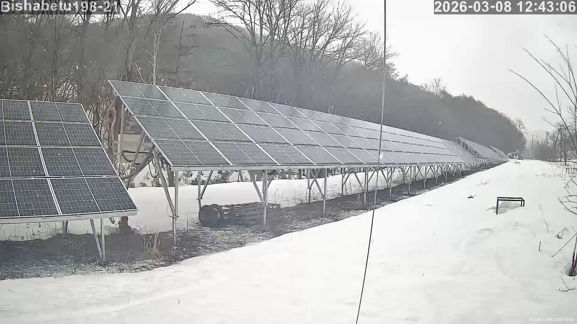 Capture from Mar 08, 2026 at 03:43 AM