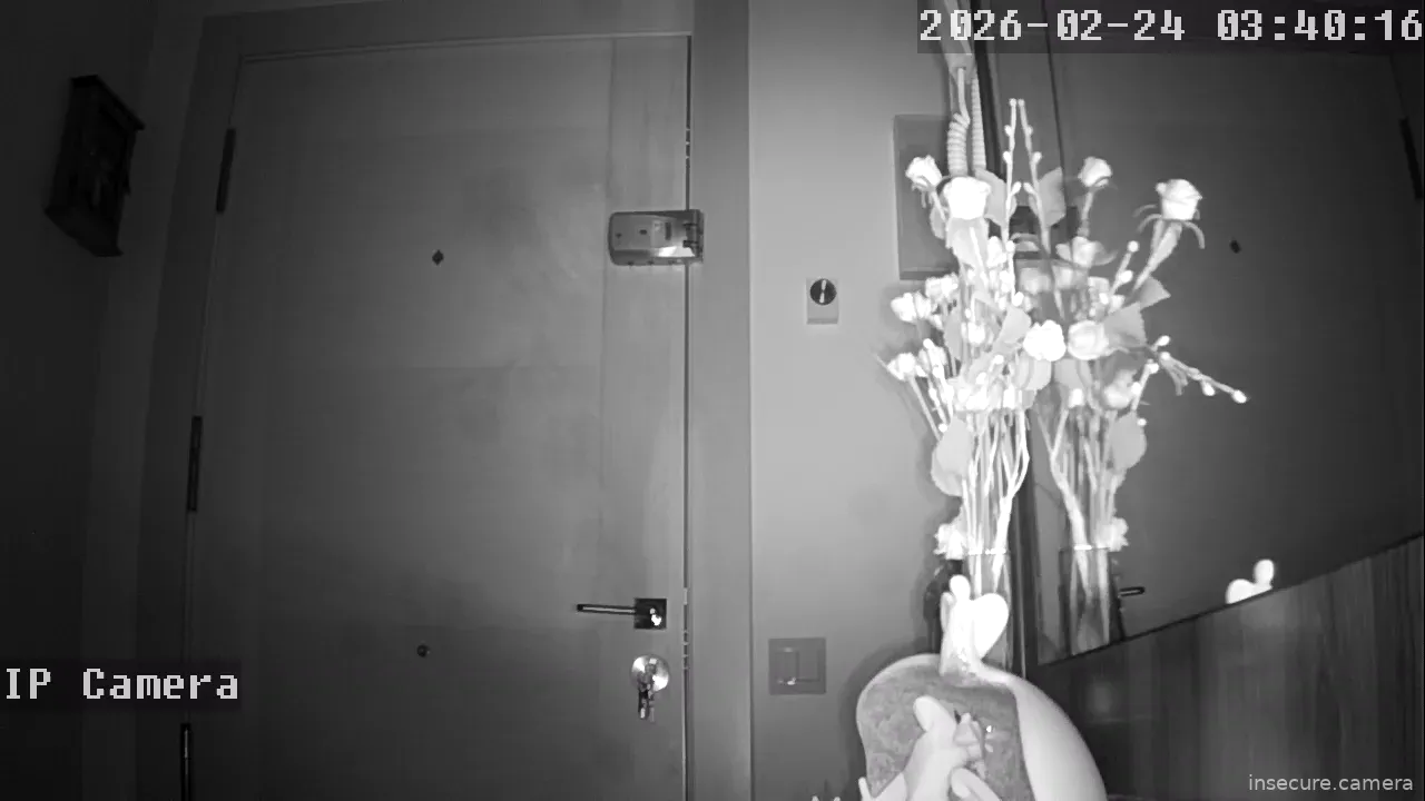 Capture from Feb 24, 2026 at 02:40 AM