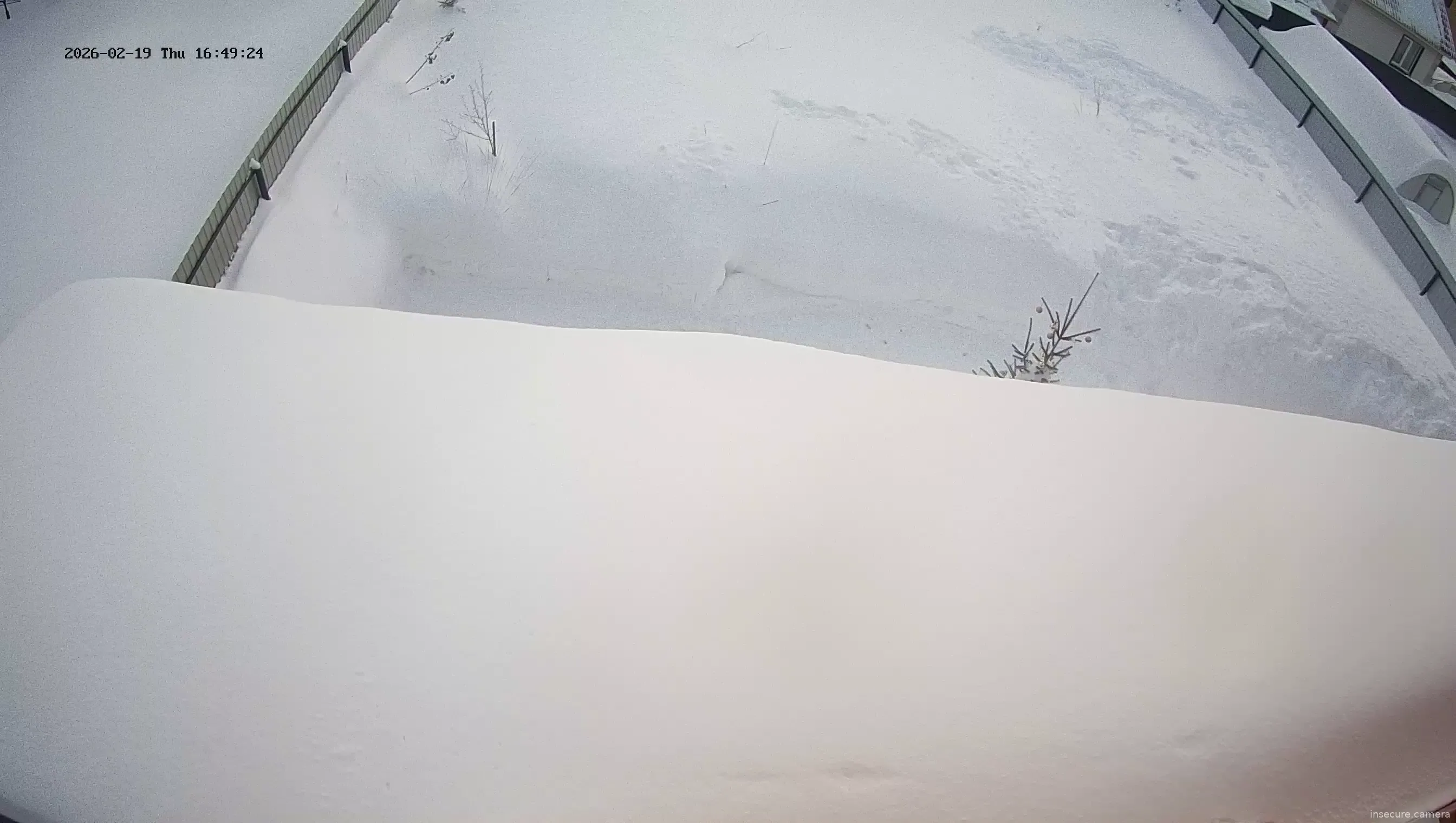 Capture from Feb 19, 2026 at 01:52 PM