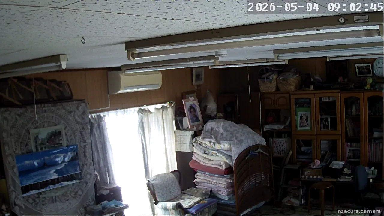 Camera in Japan