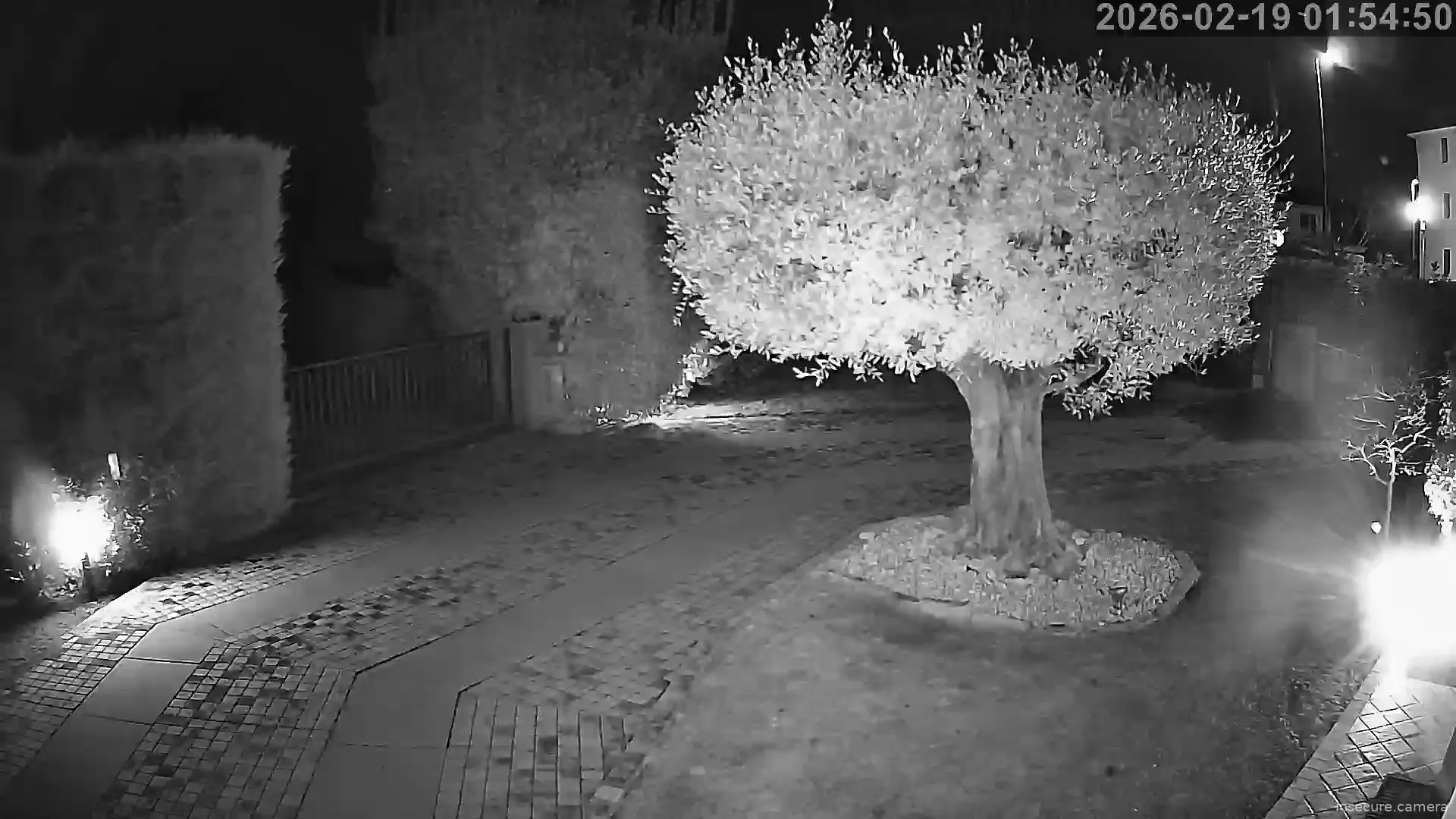 Capture from Feb 19, 2026 at 12:55 AM