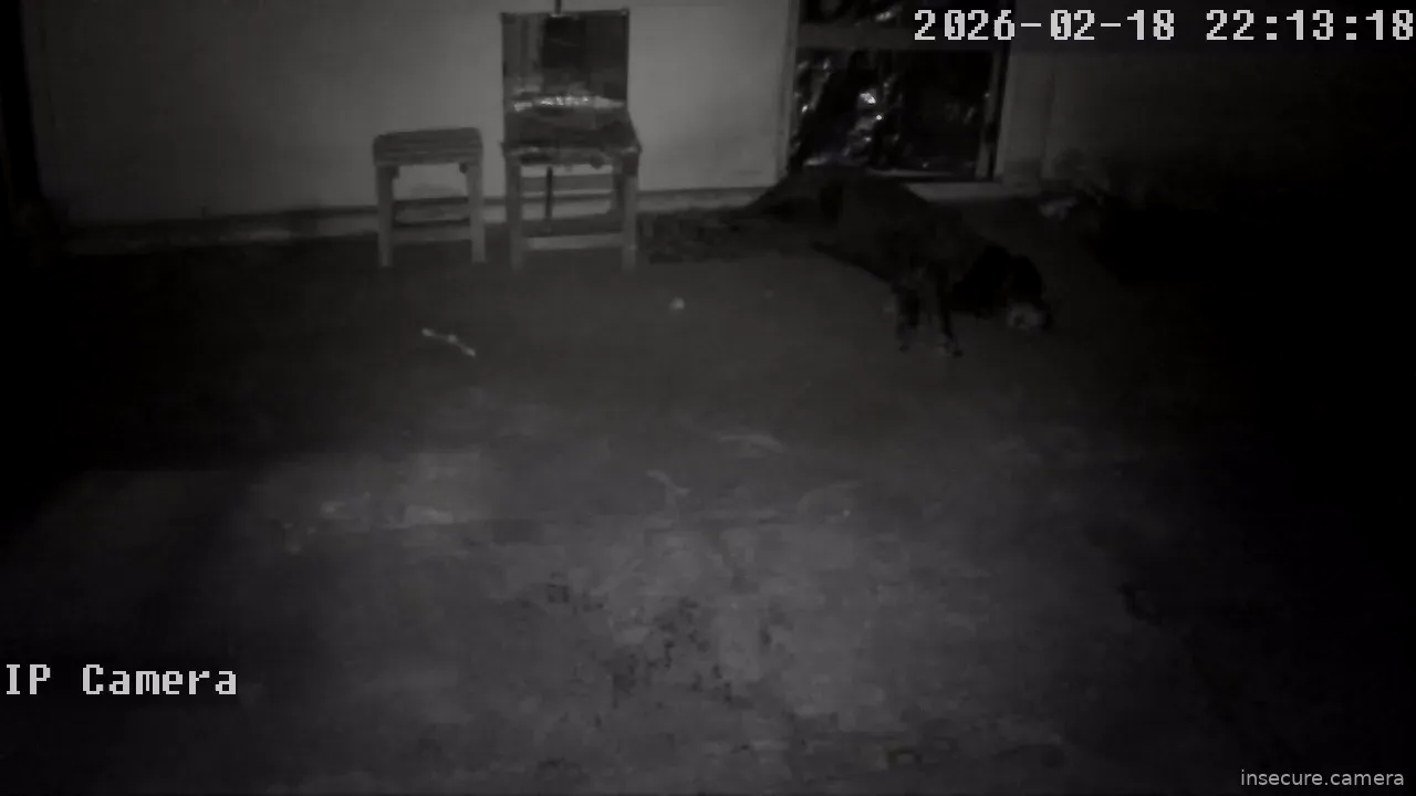 Capture from Feb 19, 2026 at 01:13 AM