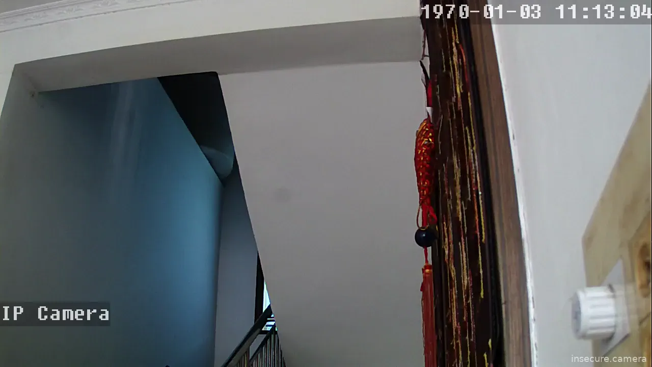 Camera in China