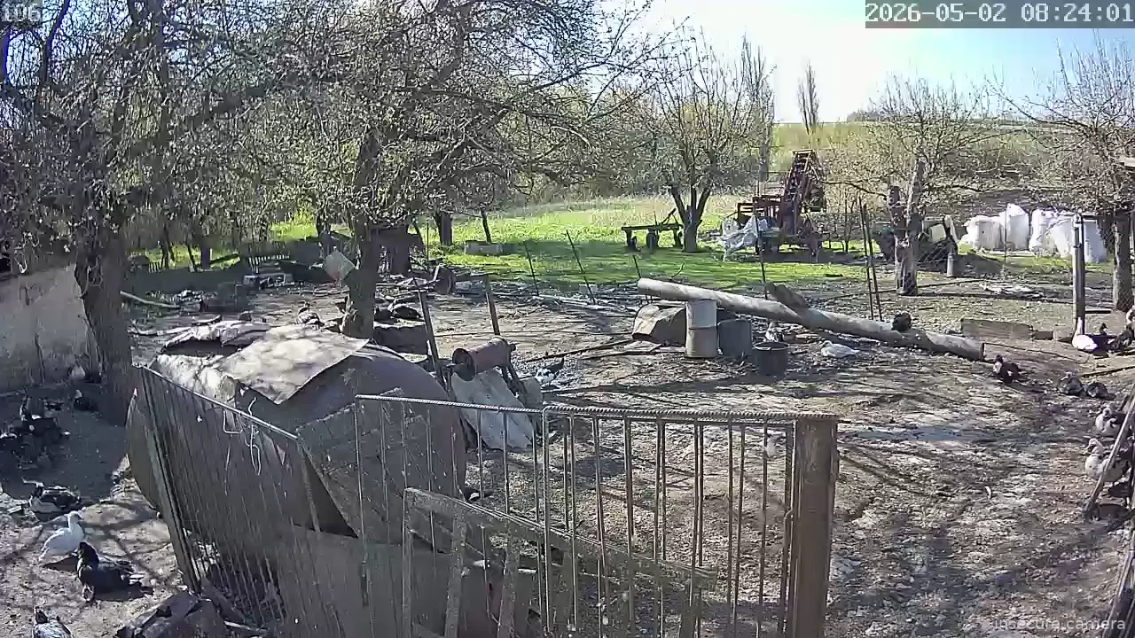 Camera in Russia