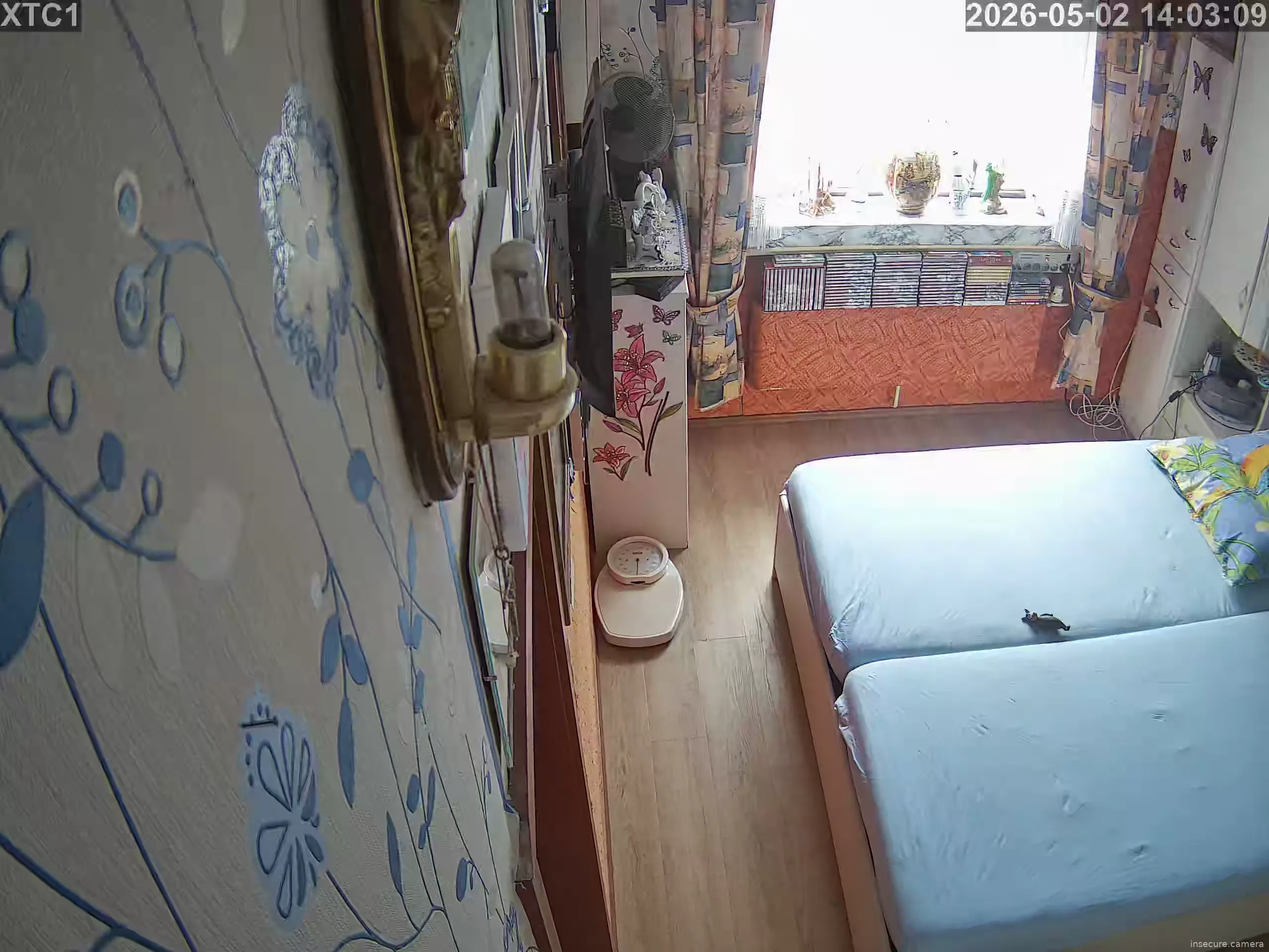 Capture from May 02, 2026 at 12:03 PM