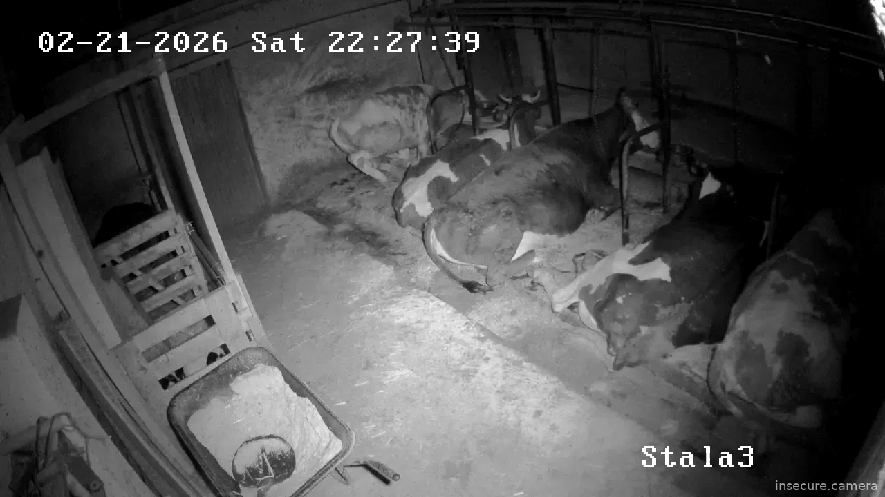 Capture from Feb 21, 2026 at 09:27 PM