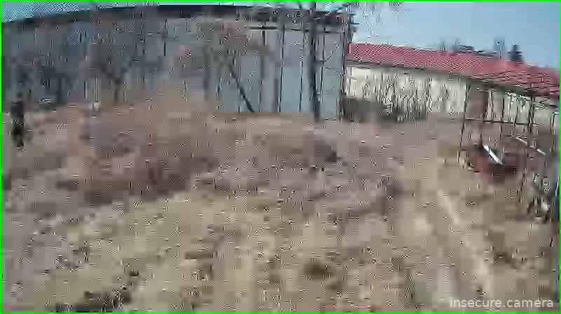 Camera in South Korea