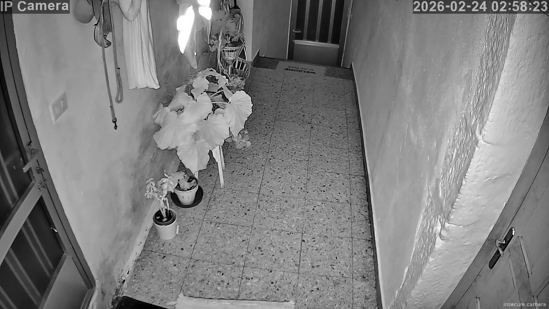 Capture from Feb 24, 2026 at 12:58 AM