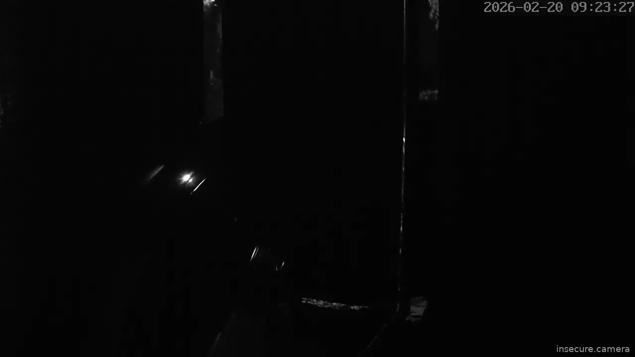 Capture from Feb 20, 2026 at 01:24 AM