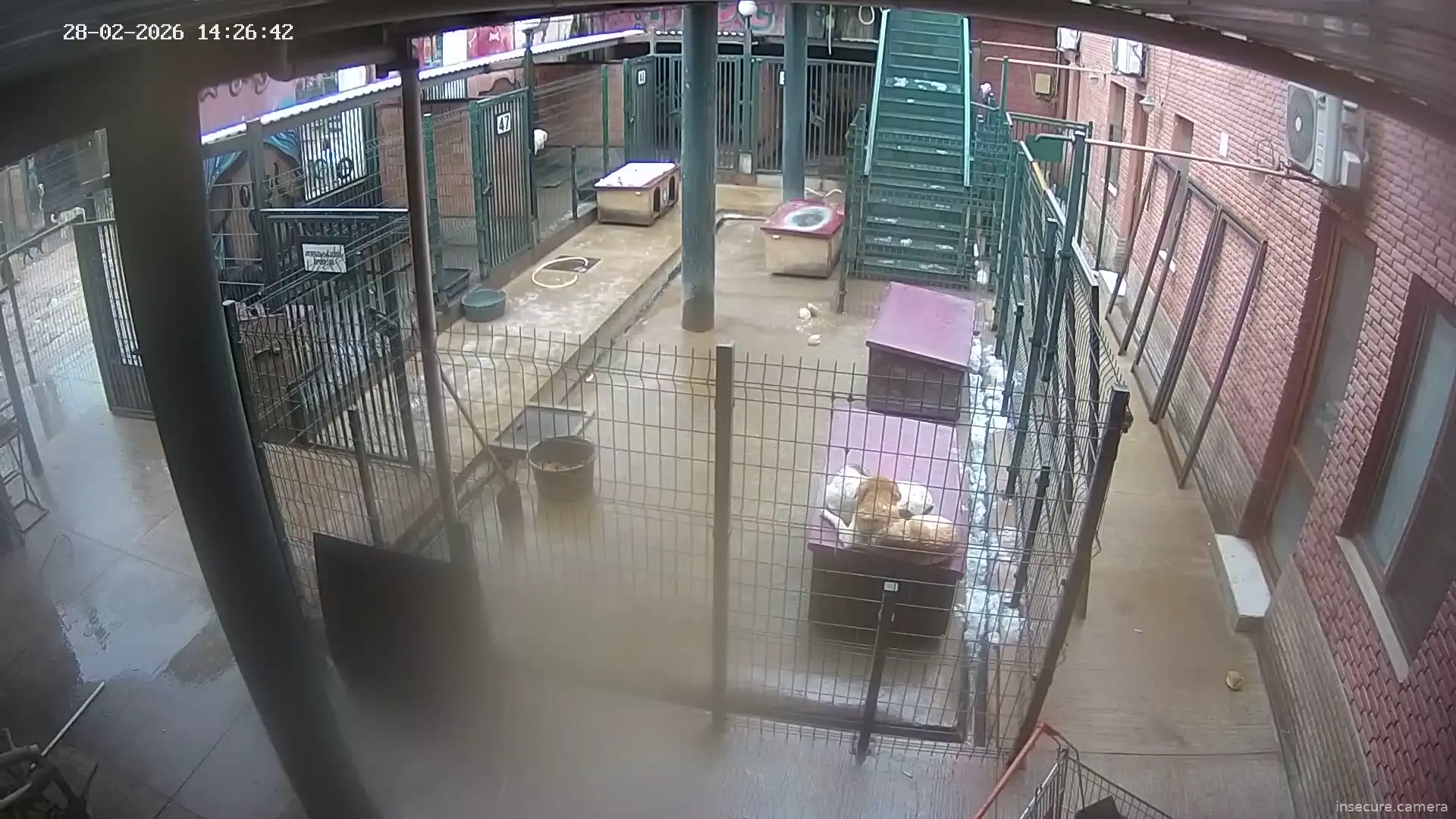 Capture from Feb 28, 2026 at 10:26 AM