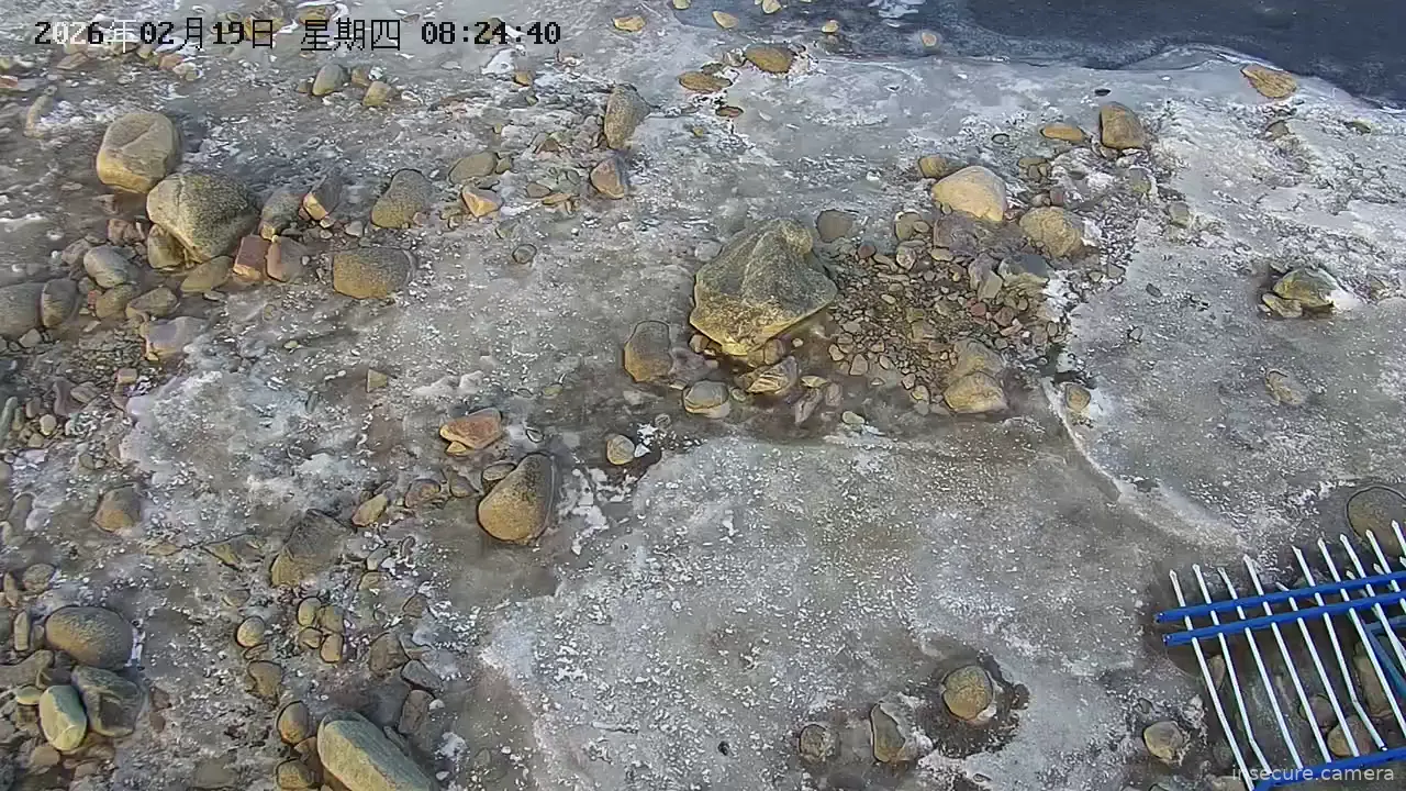 Capture from Feb 19, 2026 at 12:32 AM