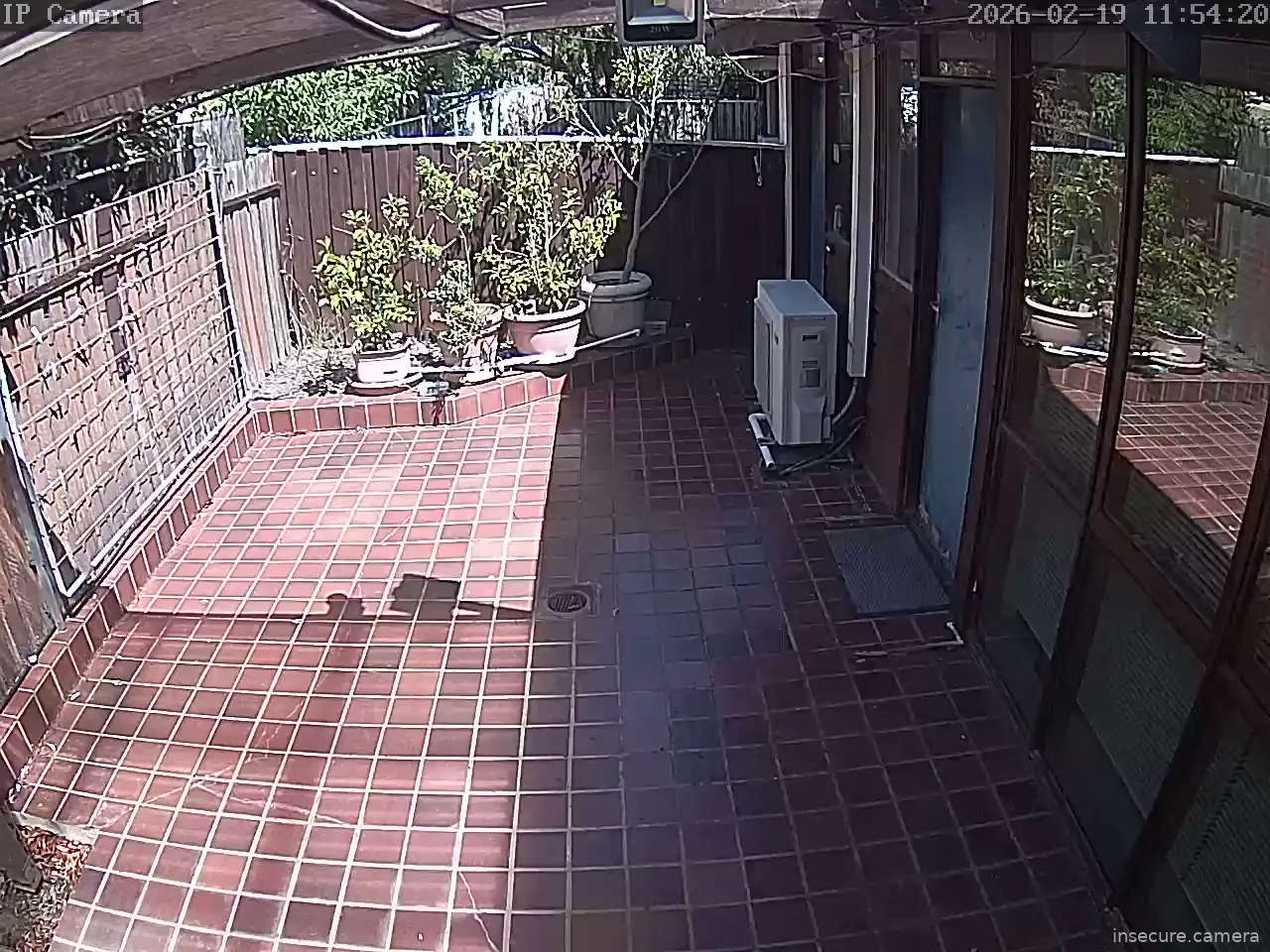 Capture from Feb 19, 2026 at 12:54 AM