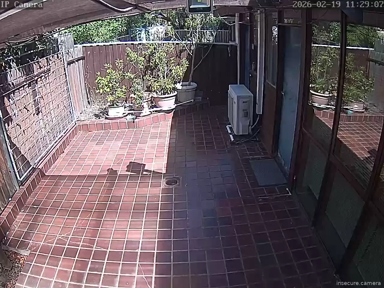 Capture from Feb 19, 2026 at 12:29 AM