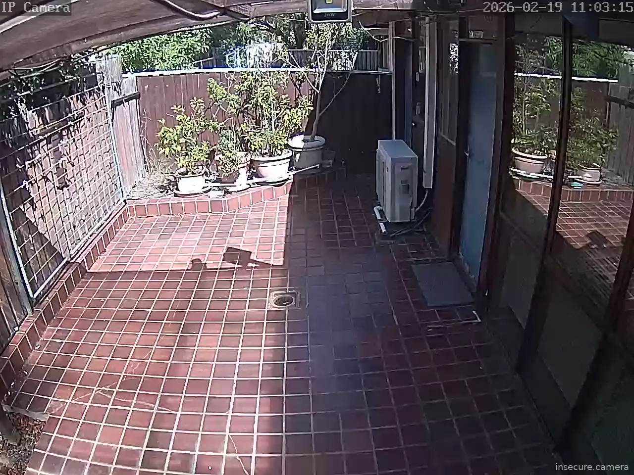 Capture from Feb 19, 2026 at 12:04 AM