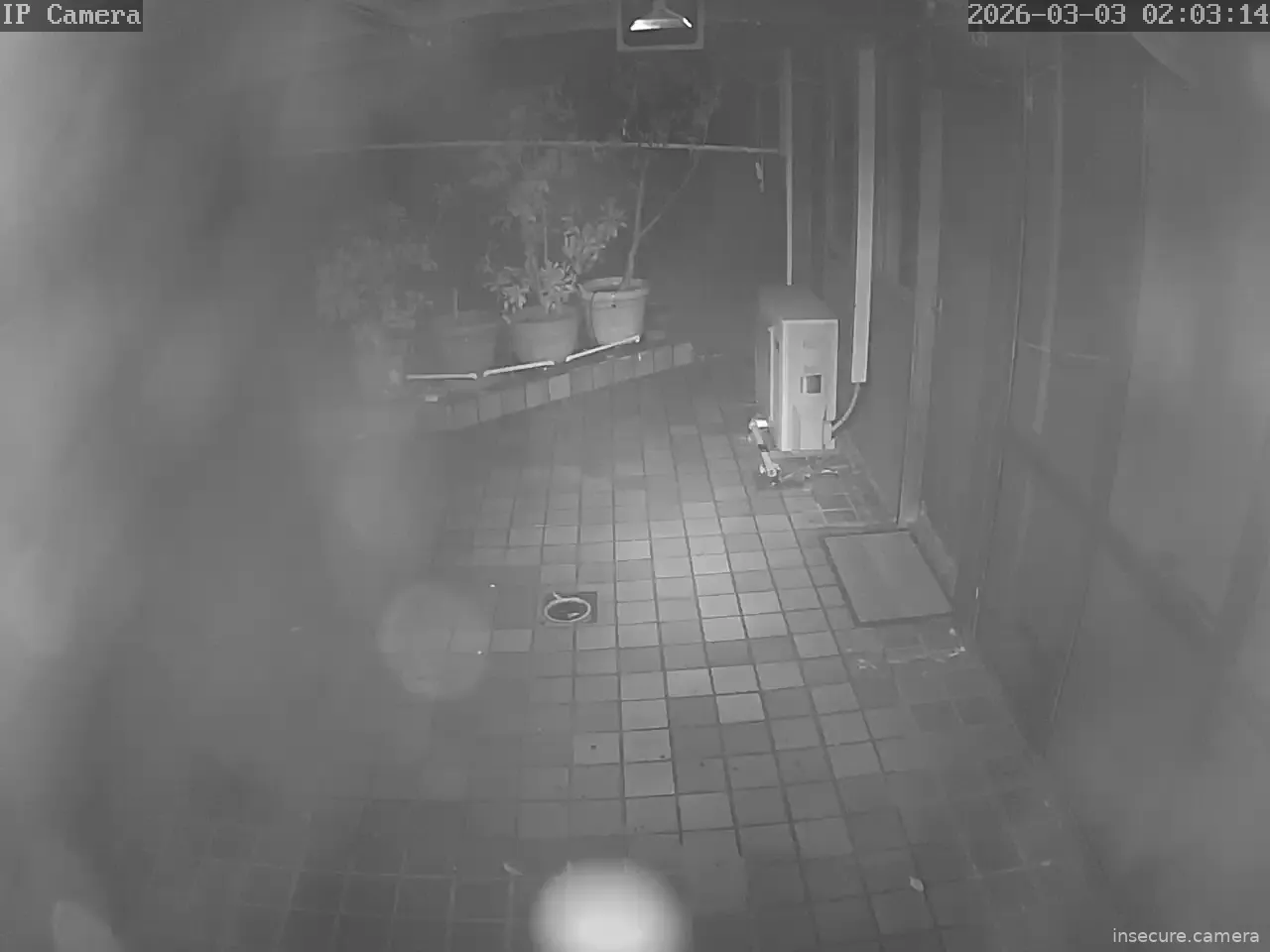 Capture from Mar 02, 2026 at 03:03 PM