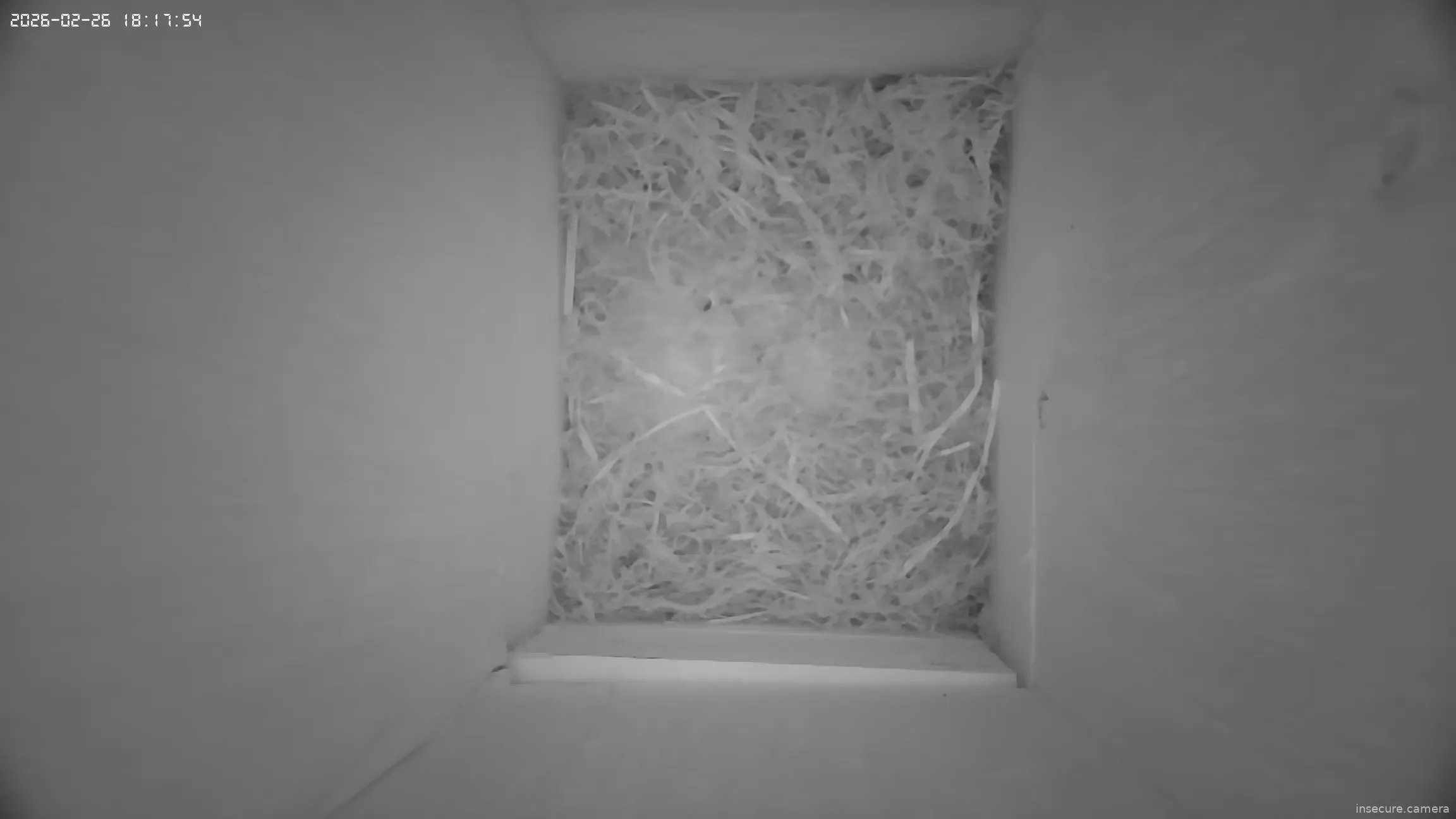 Capture from Feb 26, 2026 at 05:18 PM