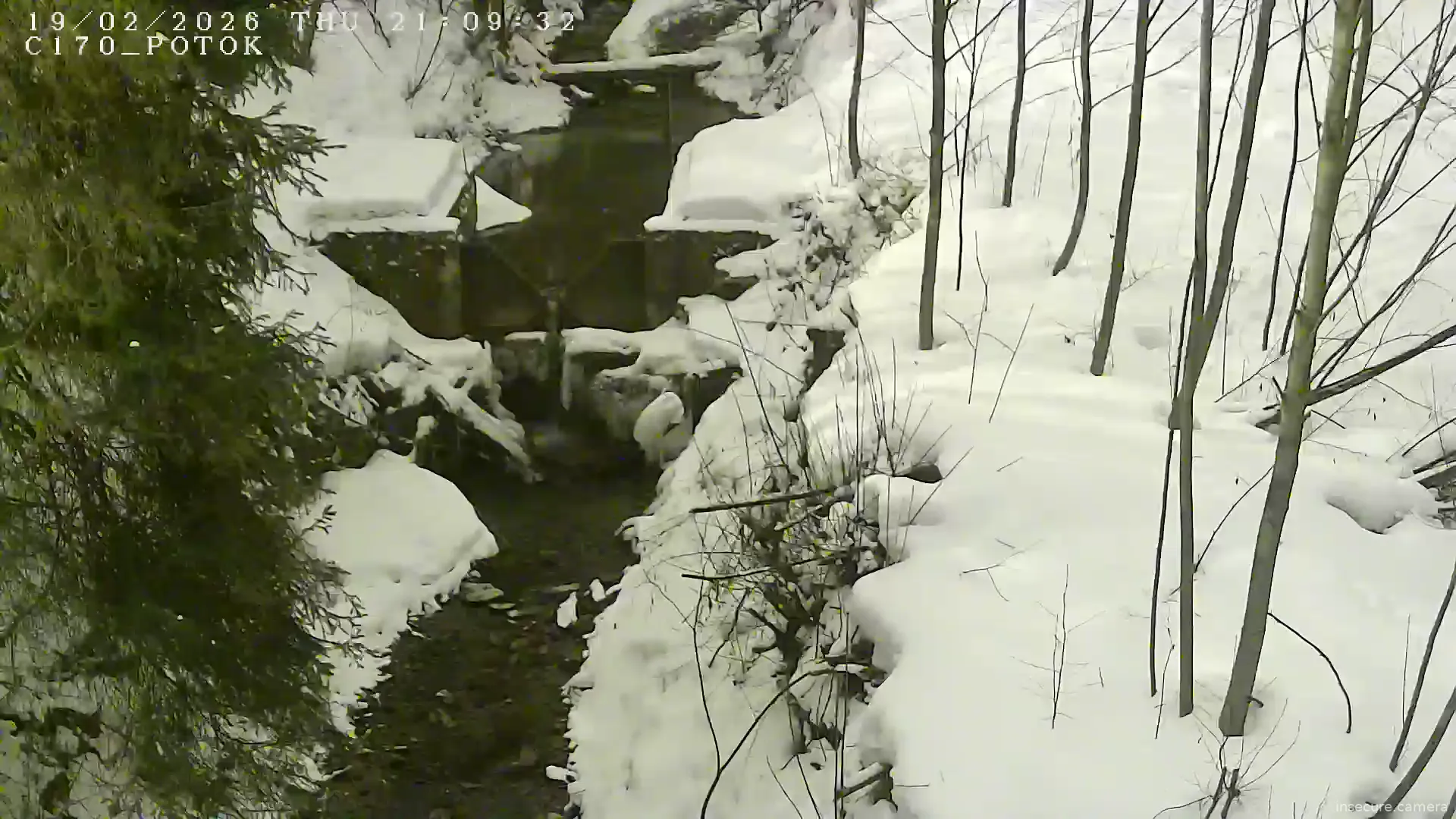 Capture from Feb 19, 2026 at 08:09 PM