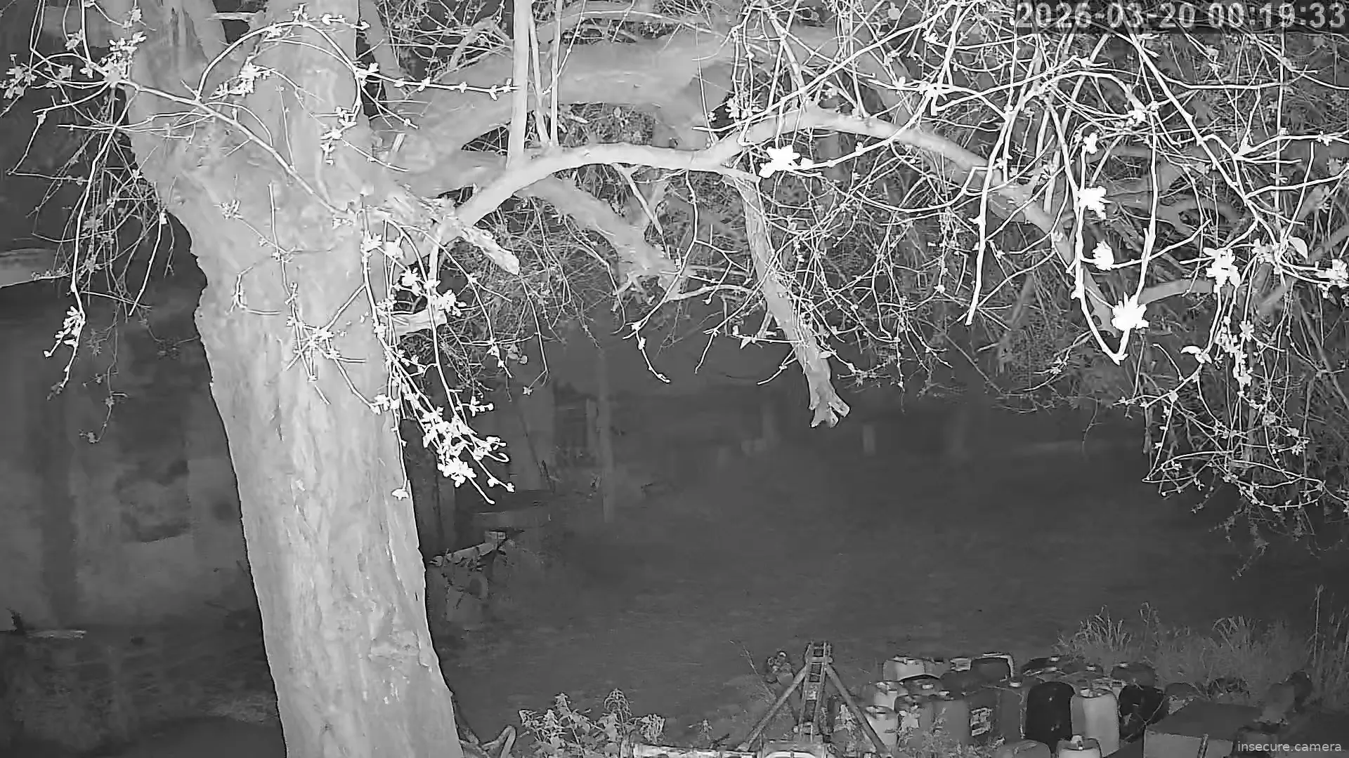 Capture from Mar 19, 2026 at 11:19 PM