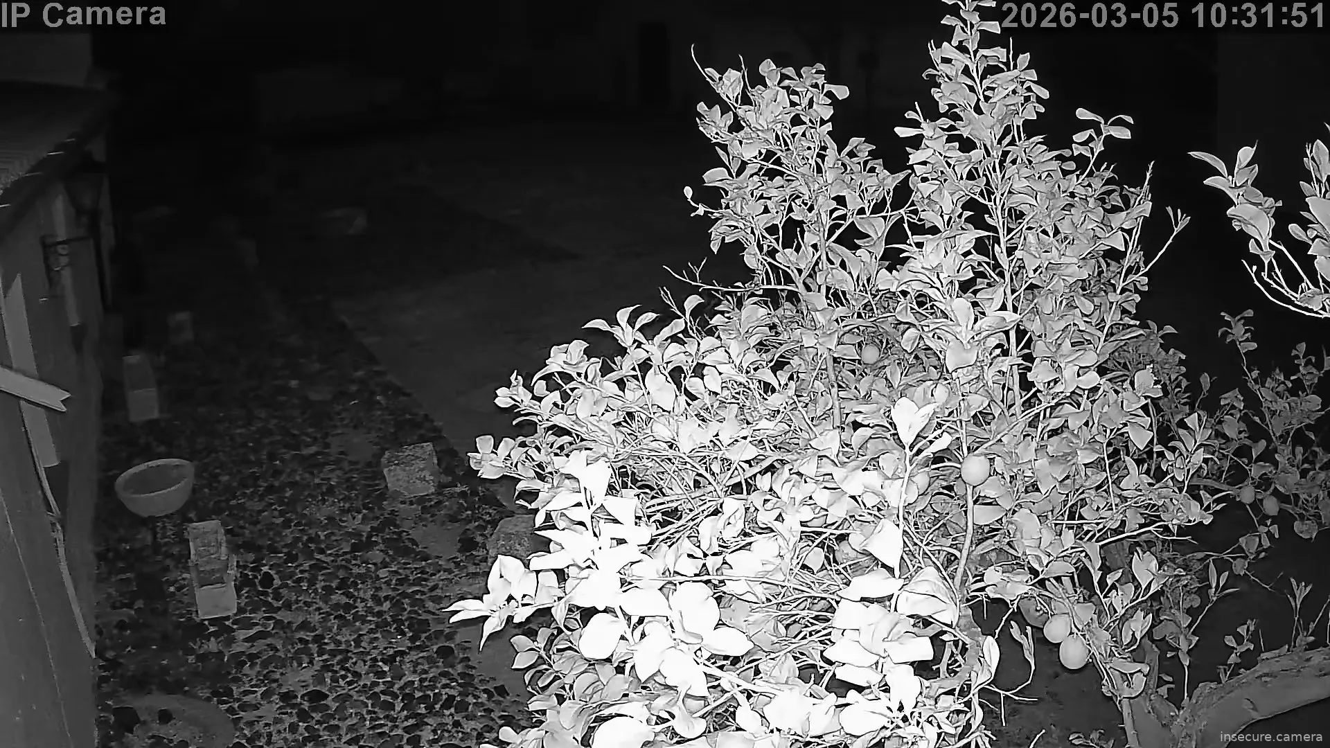 Capture from Mar 05, 2026 at 02:32 AM