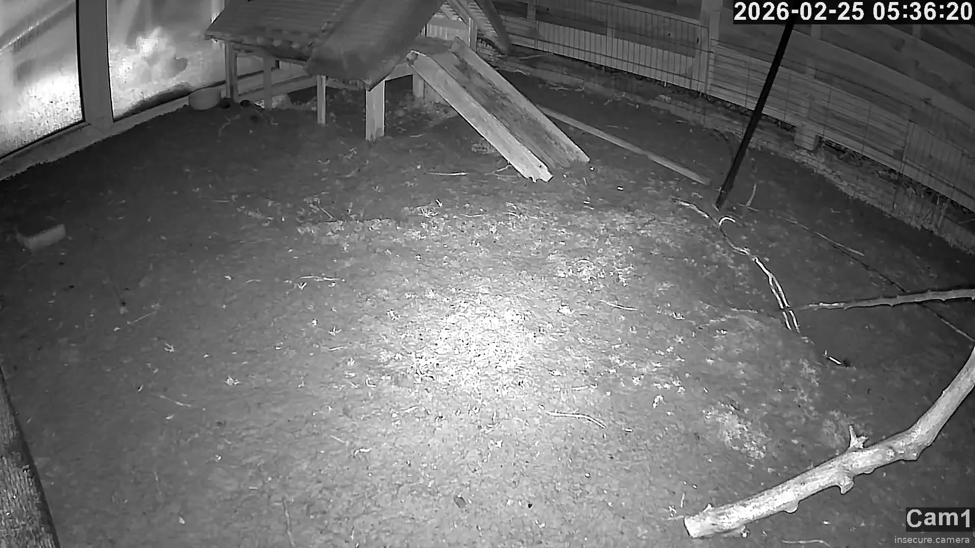 Capture from Feb 25, 2026 at 04:36 AM