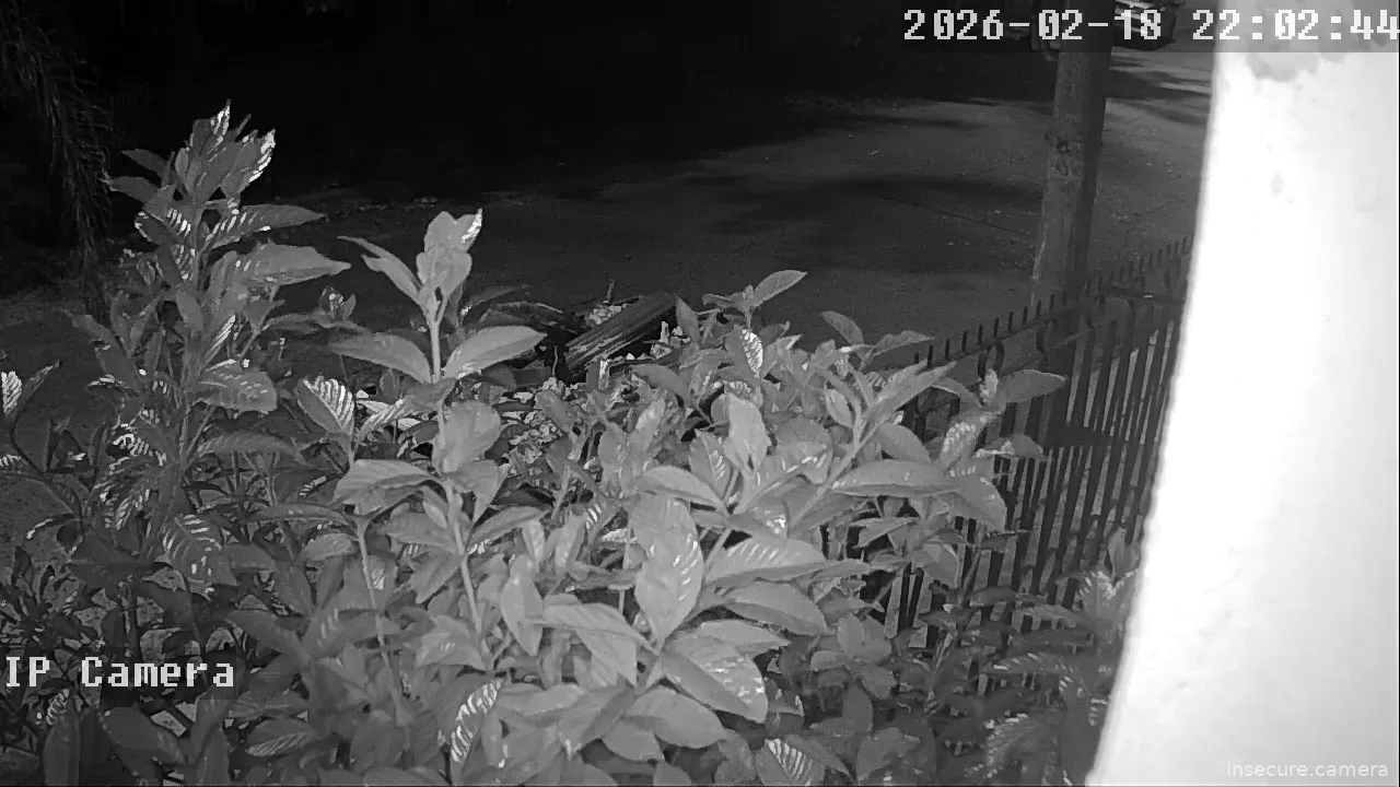 Capture from Feb 19, 2026 at 01:03 AM