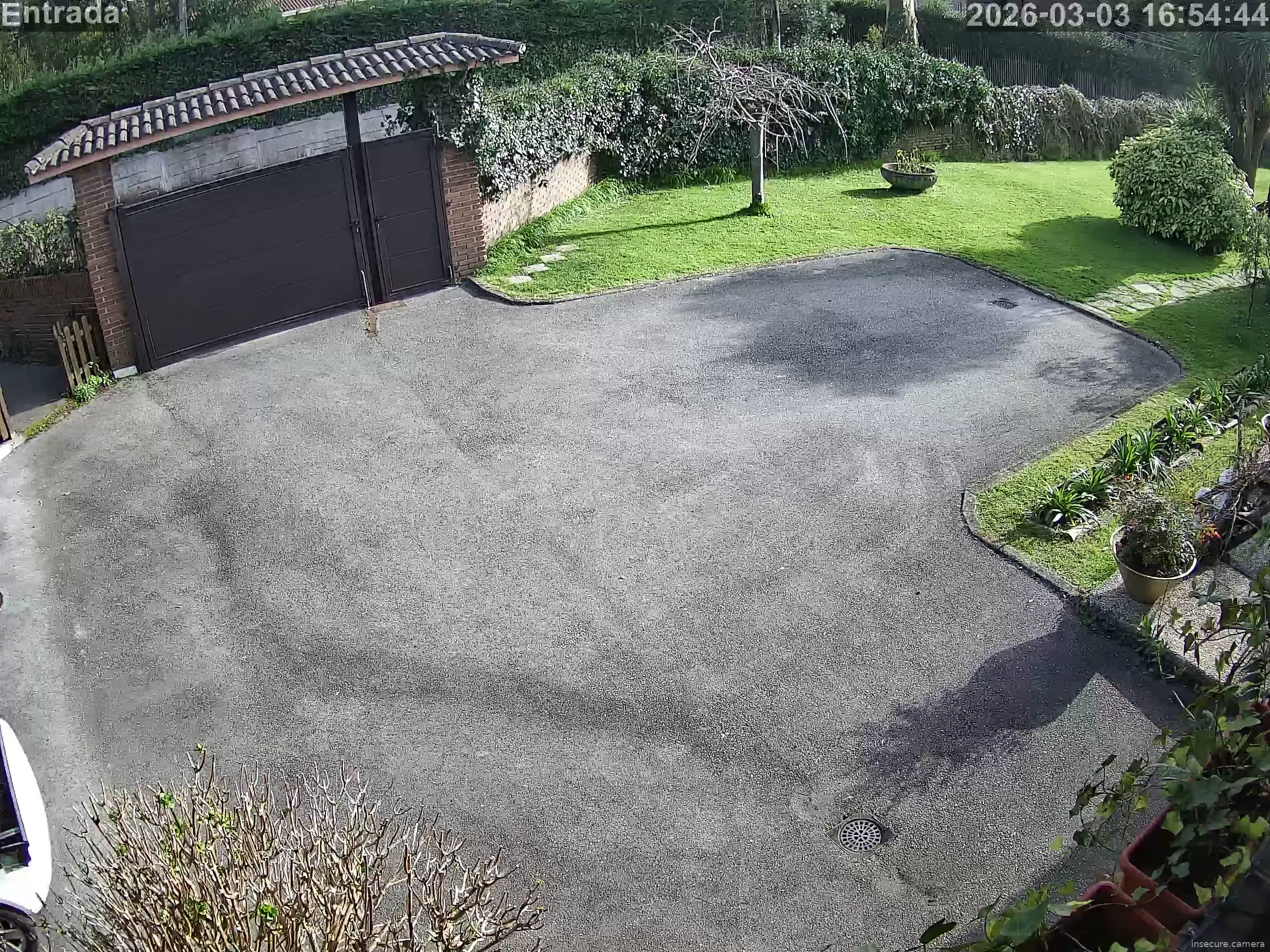 Capture from Mar 03, 2026 at 03:55 PM