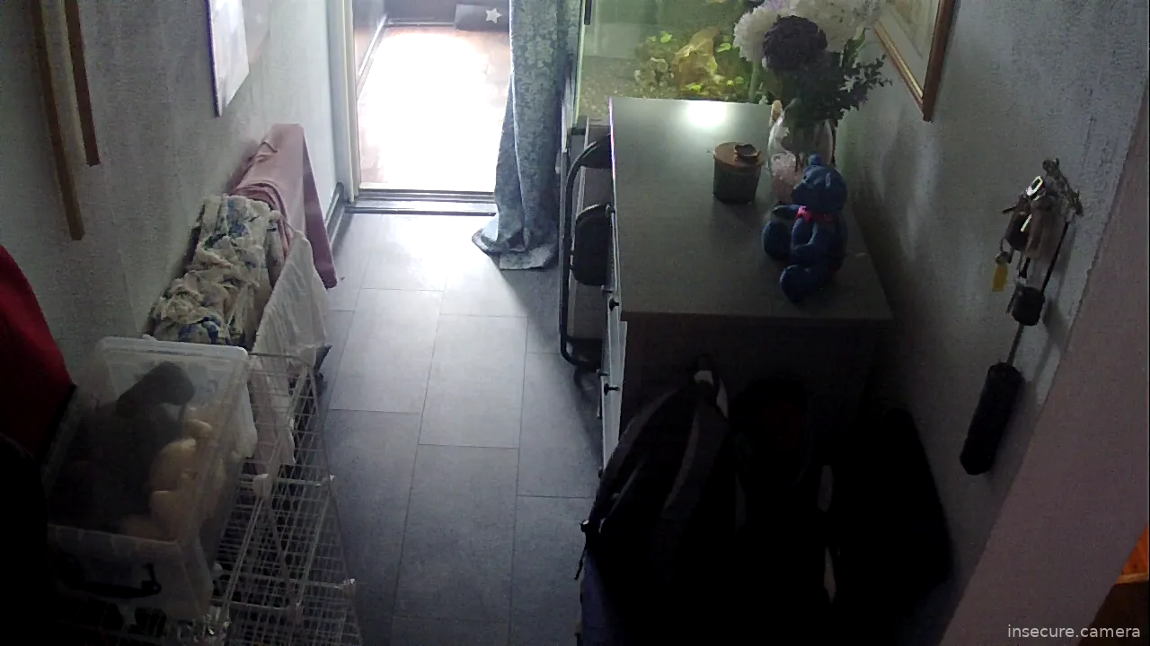 Capture from May 01, 2026 at 06:20 PM