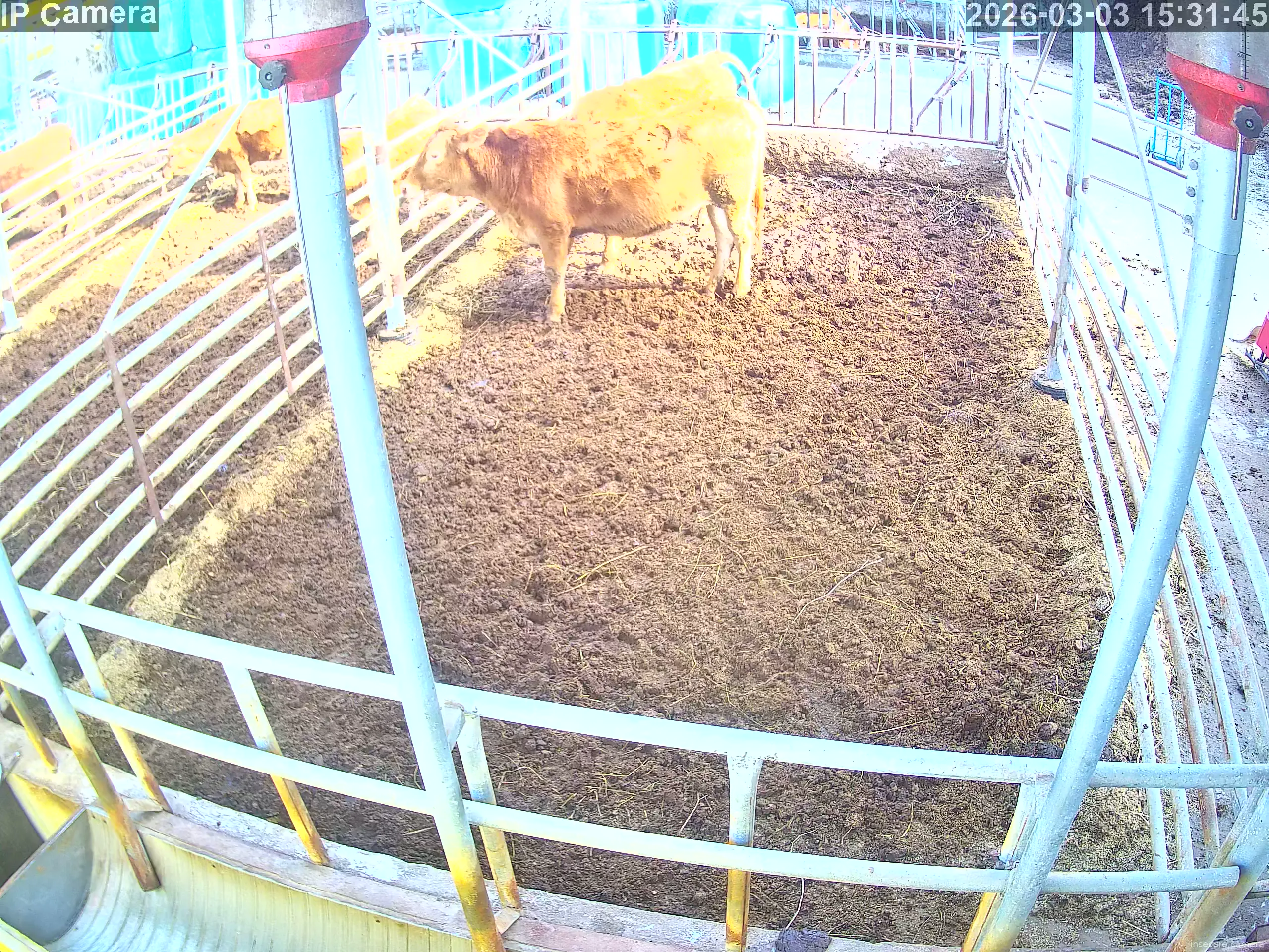 Capture from Mar 03, 2026 at 06:32 AM