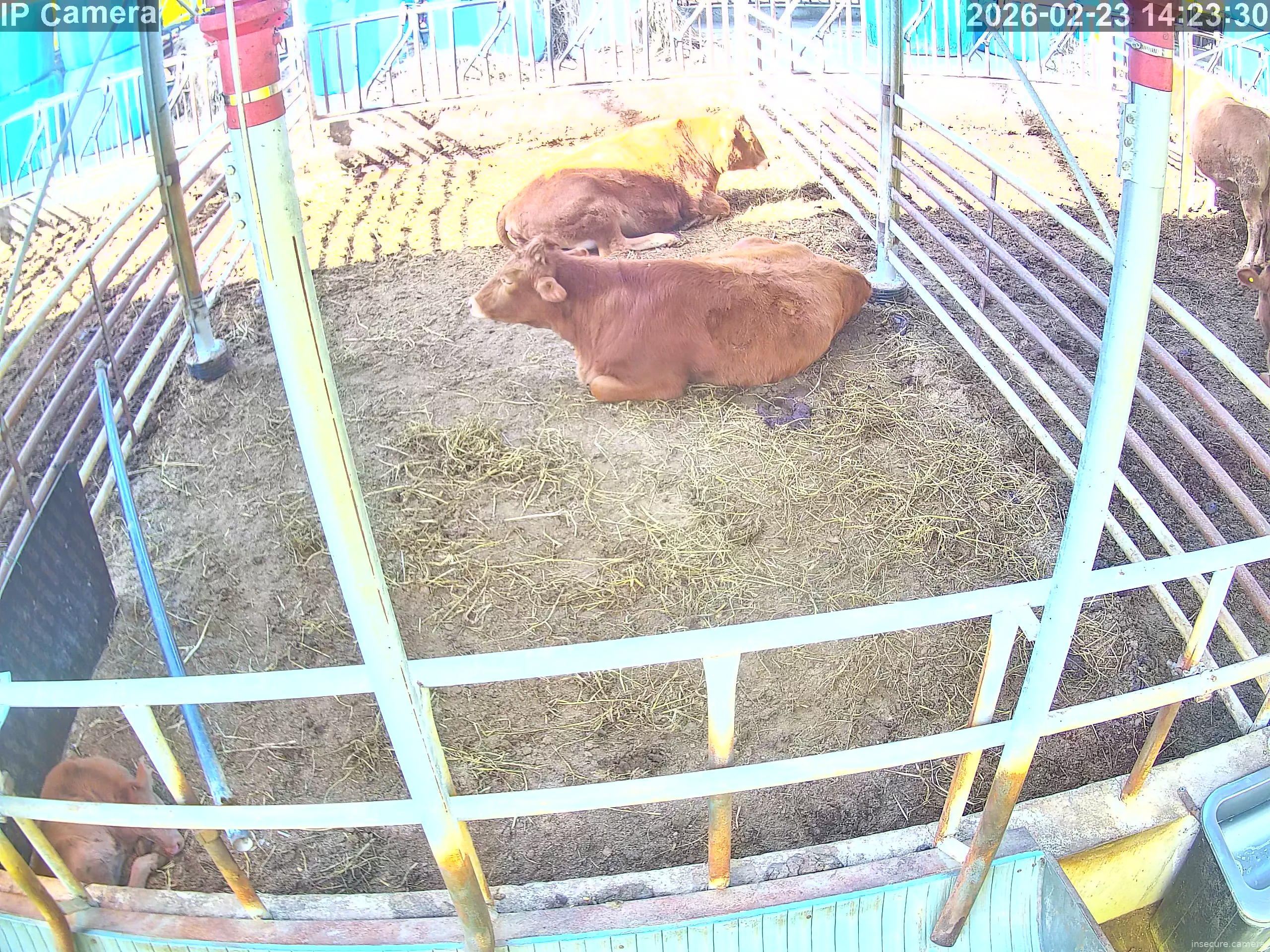 Capture from Feb 23, 2026 at 05:24 AM