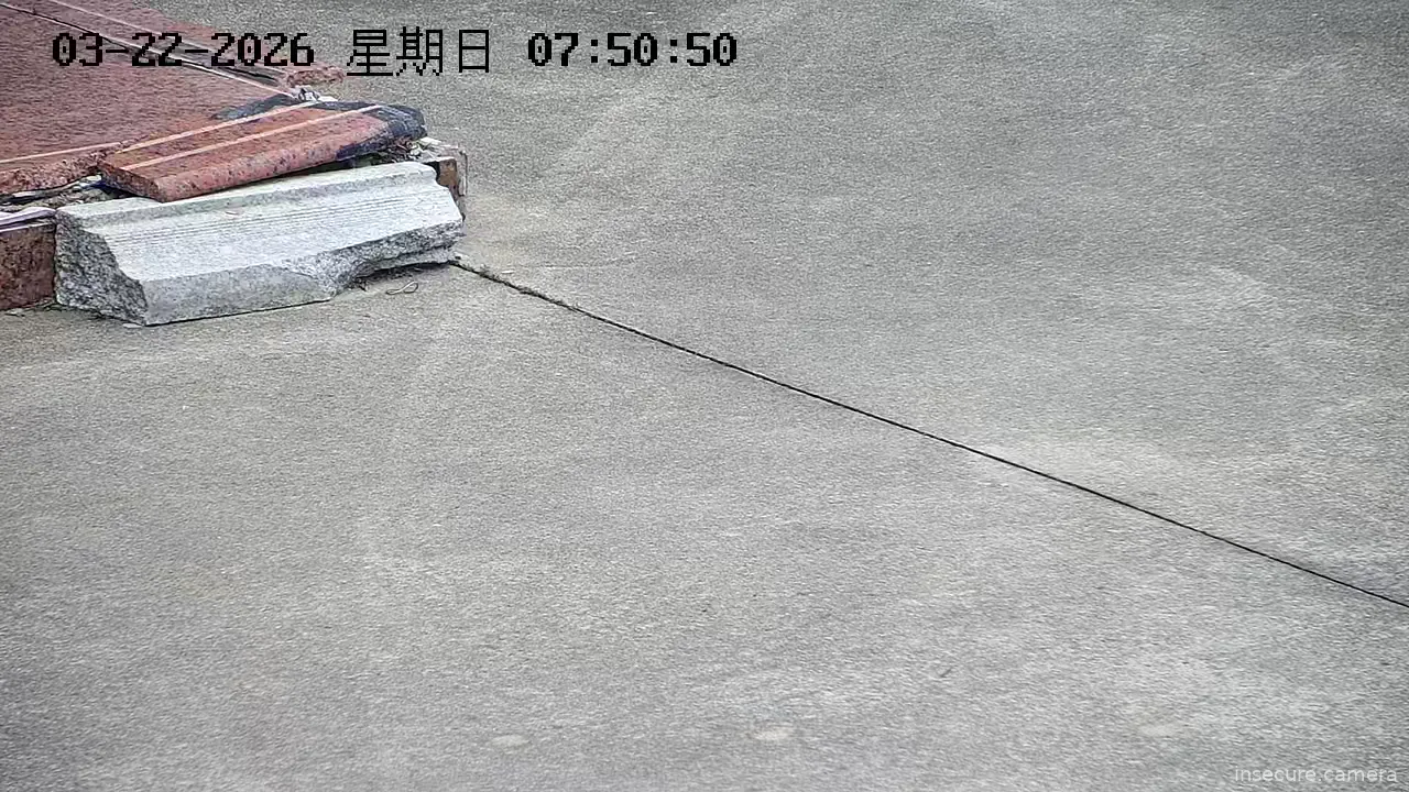 Capture from Mar 21, 2026 at 10:46 PM