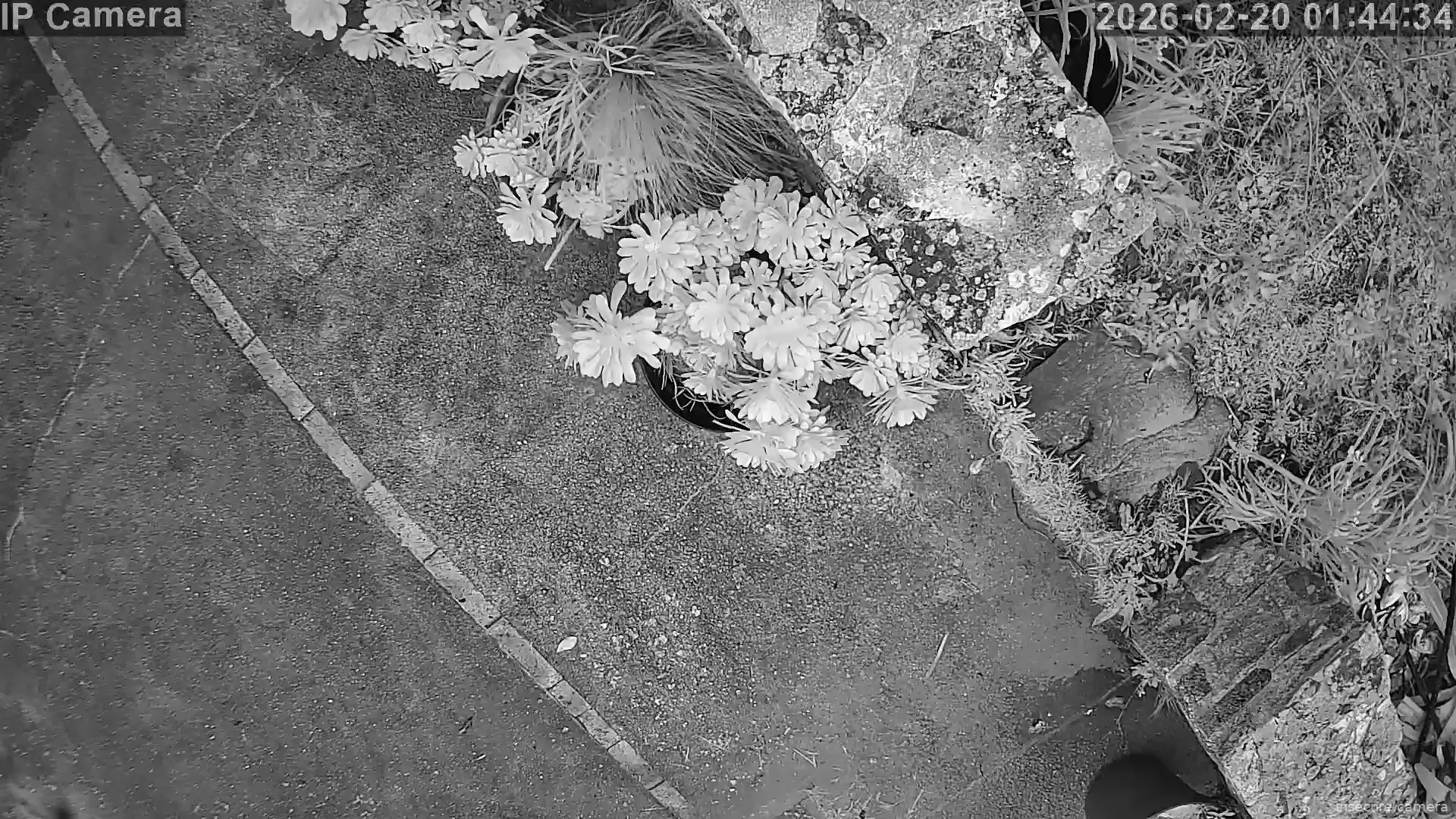 Capture from Feb 19, 2026 at 05:44 PM