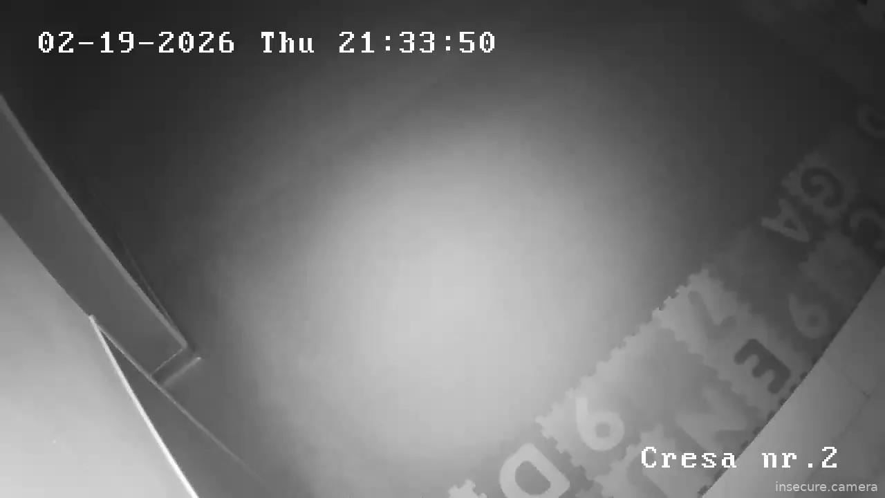 Capture from Feb 19, 2026 at 07:22 PM