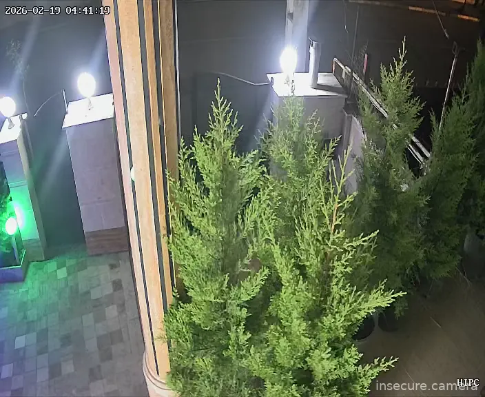 Capture from Feb 19, 2026 at 01:11 AM