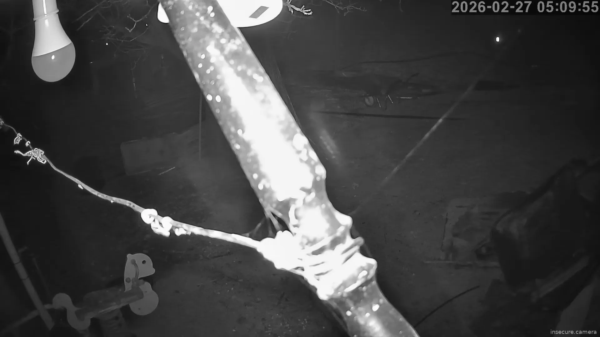 Capture from Feb 27, 2026 at 04:10 AM