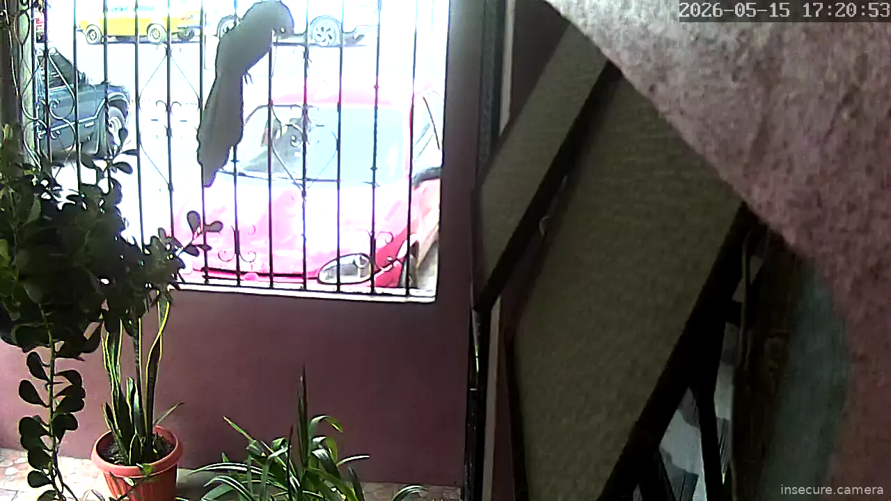 Capture from May 15, 2026 at 11:21 PM