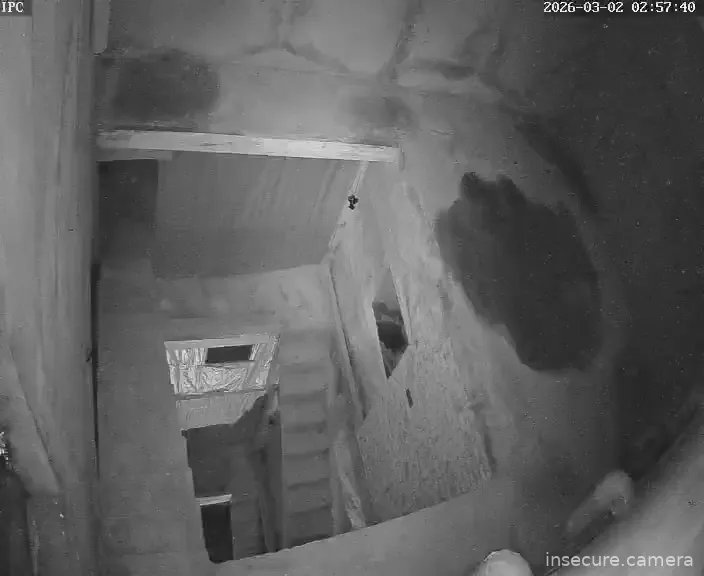 Capture from Mar 01, 2026 at 06:30 PM