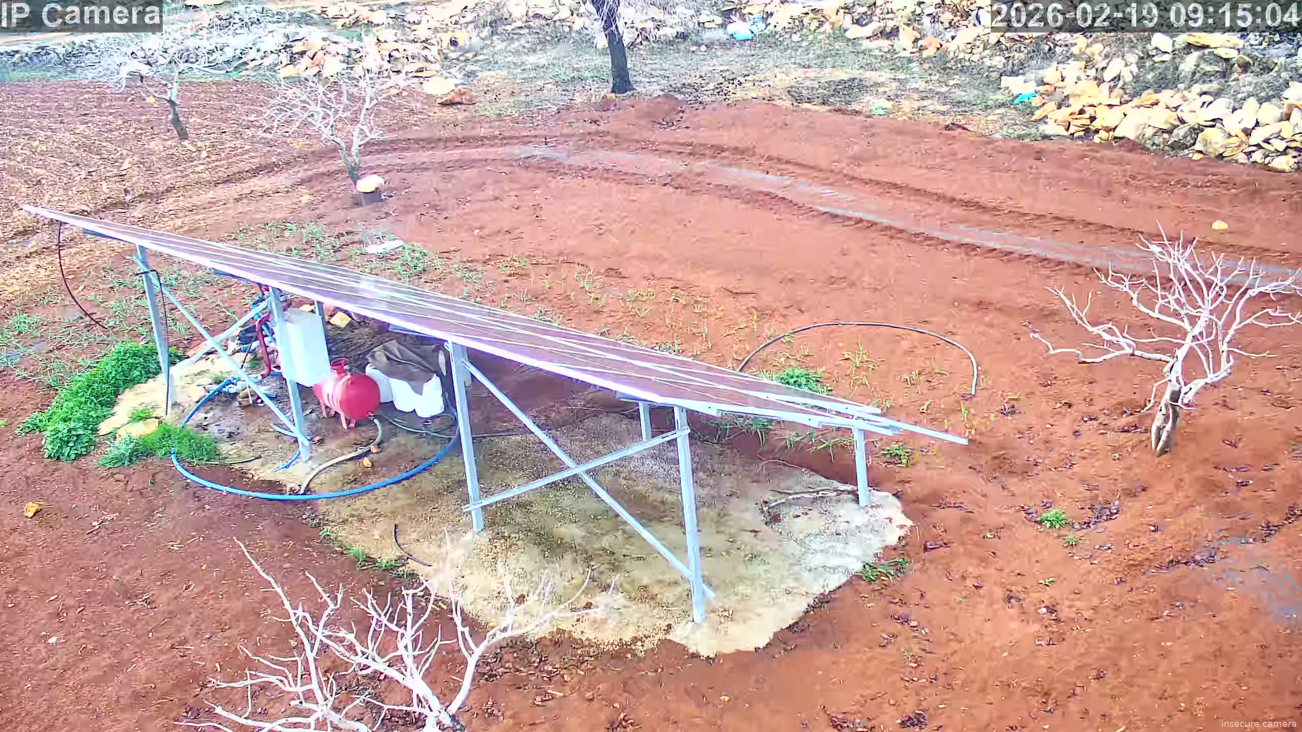 Capture from Feb 19, 2026 at 06:15 AM