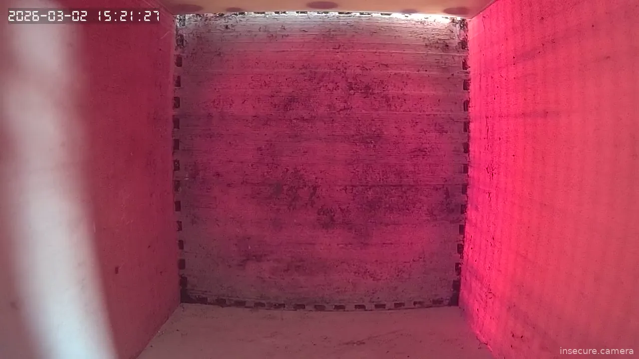 Capture from Mar 02, 2026 at 01:21 PM