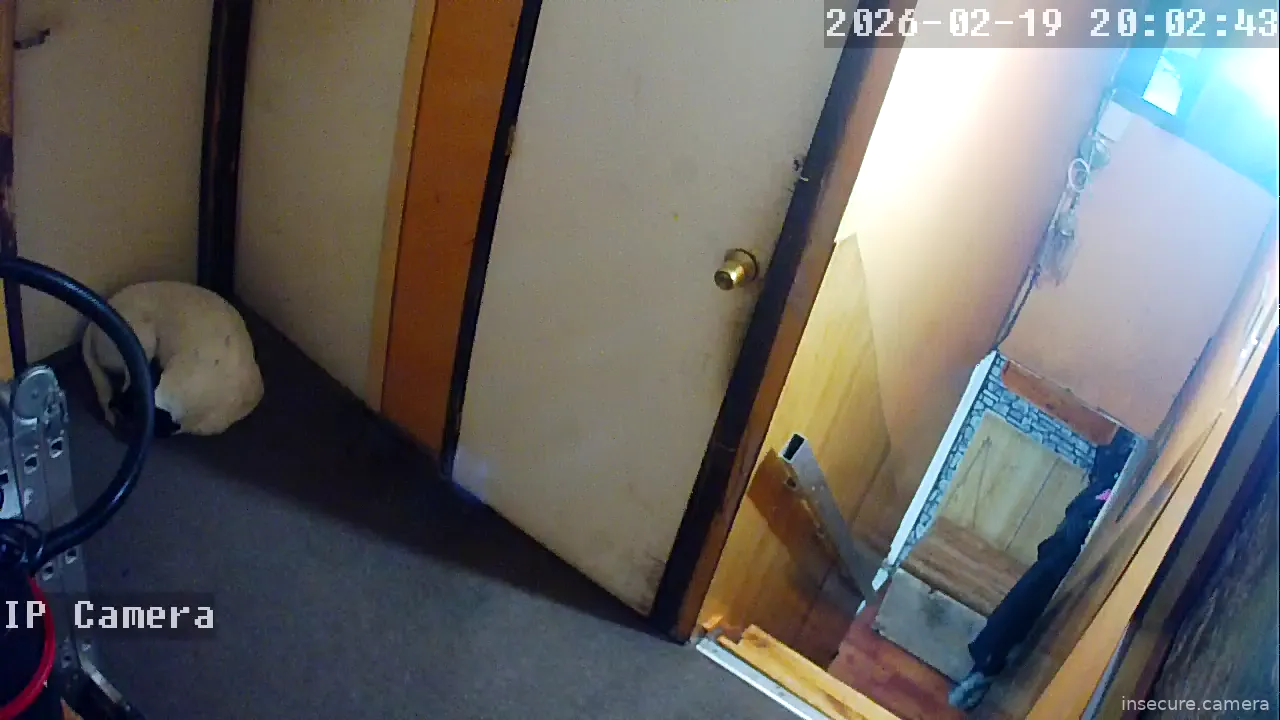 Capture from Feb 19, 2026 at 12:02 PM