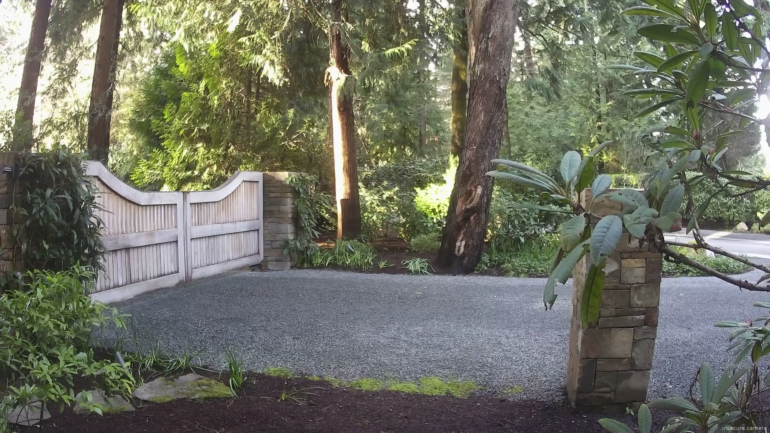 Capture from Mar 15, 2026 at 12:46 AM