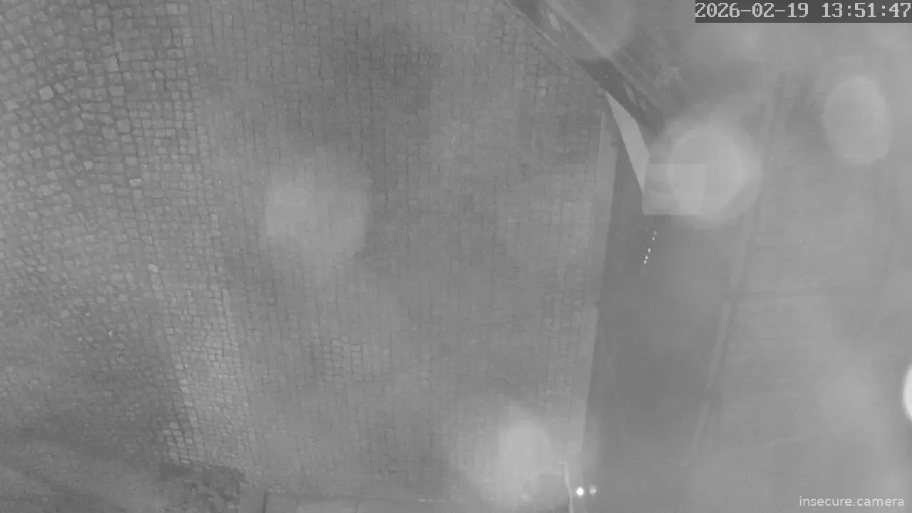 Capture from Feb 19, 2026 at 05:52 AM